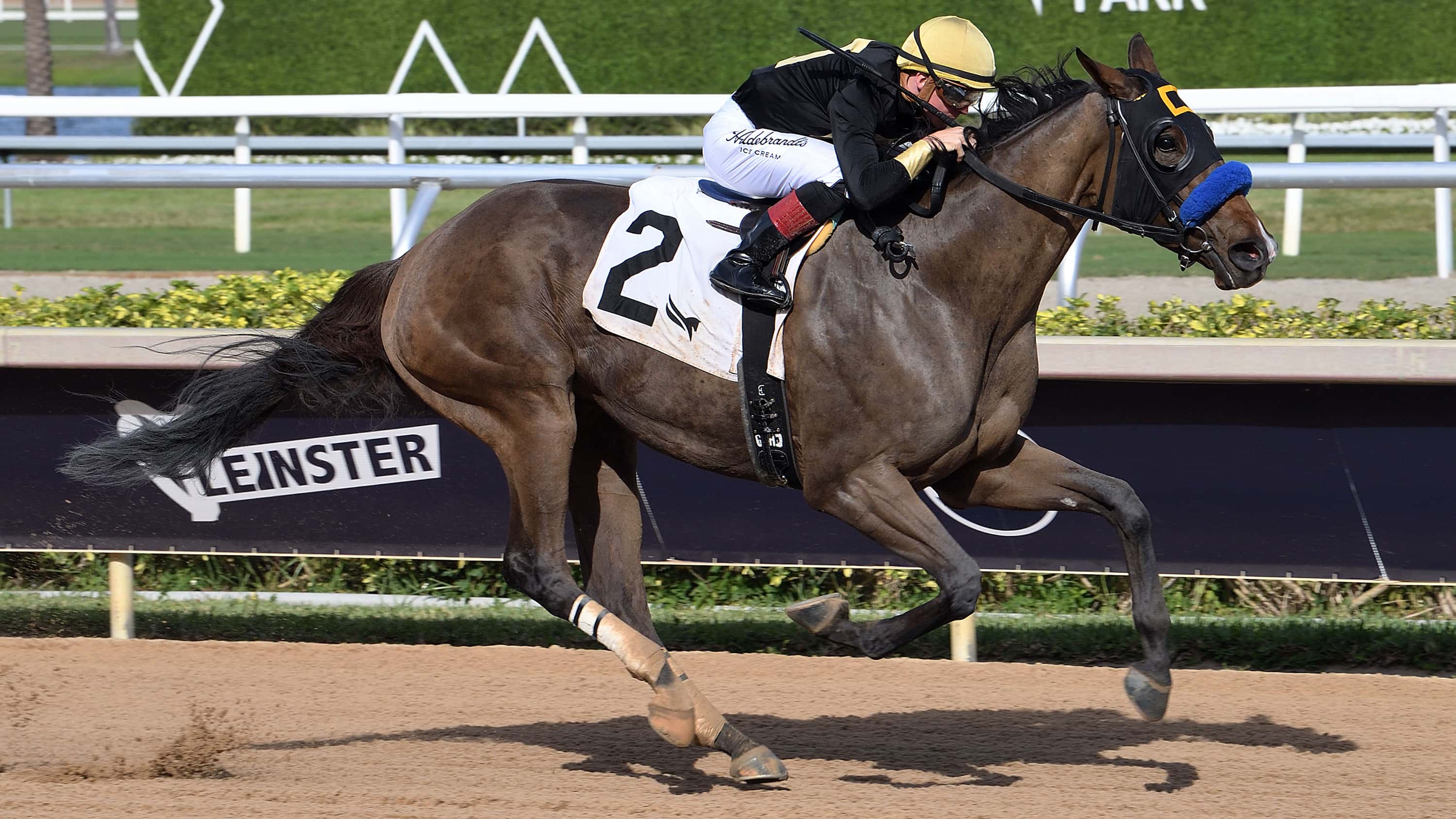 G1-Placed Dry Powder Romps in Gulfstream Return