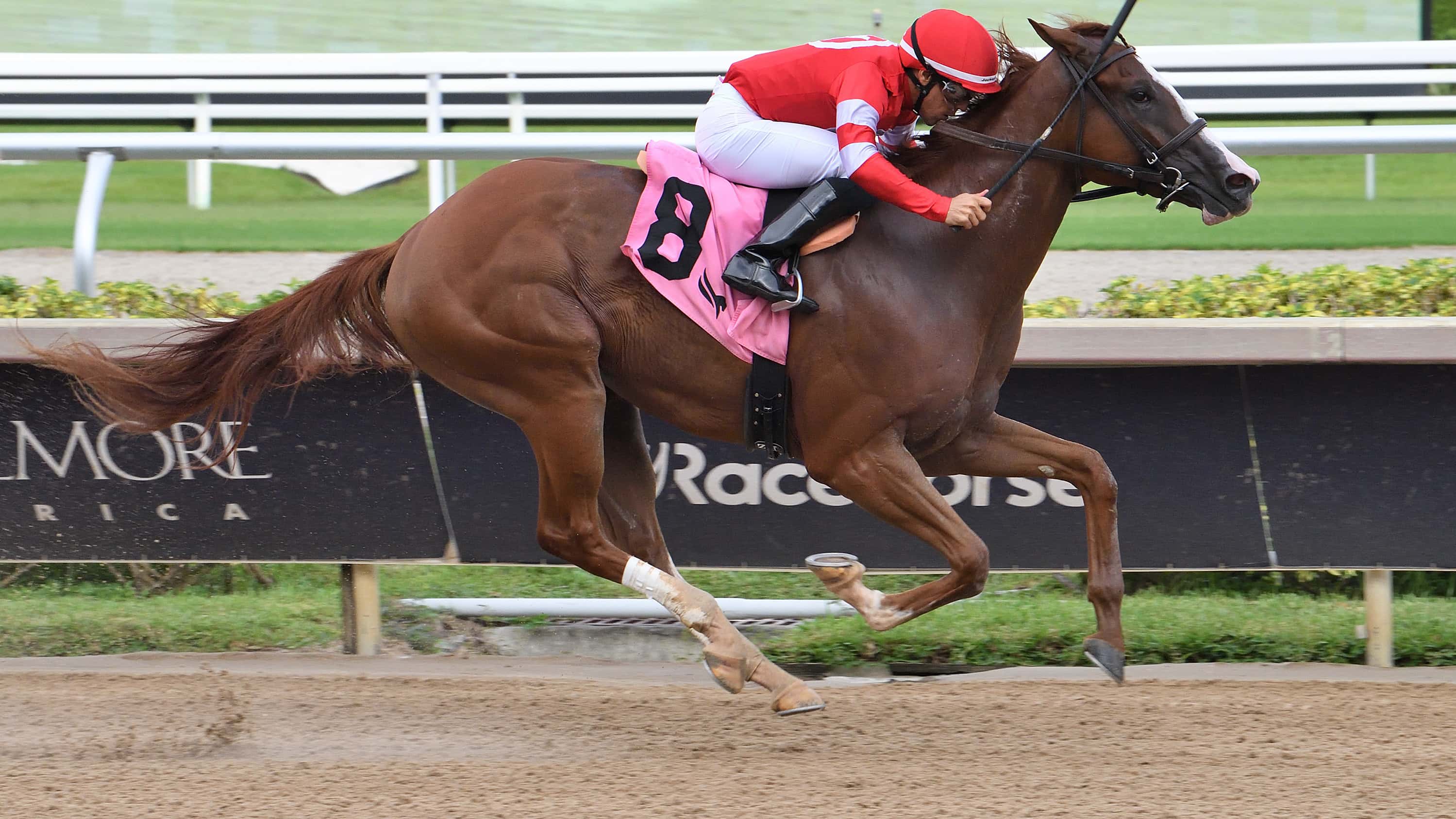Fourth and Central Captures $100,000 Dr. Fager in Full Control