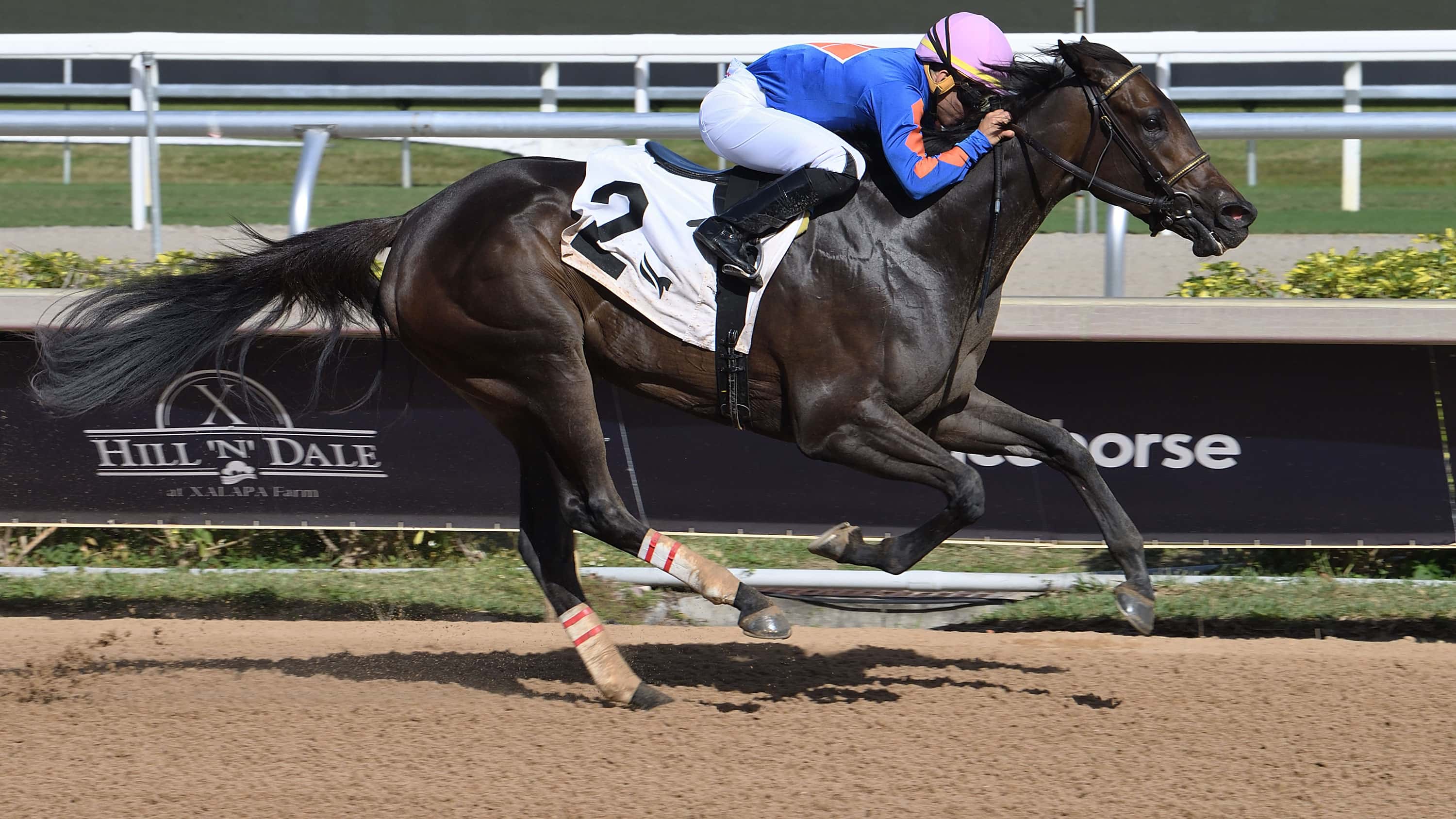 G3 Winner Mythical Tops $125,000 Any Limit Nominations
