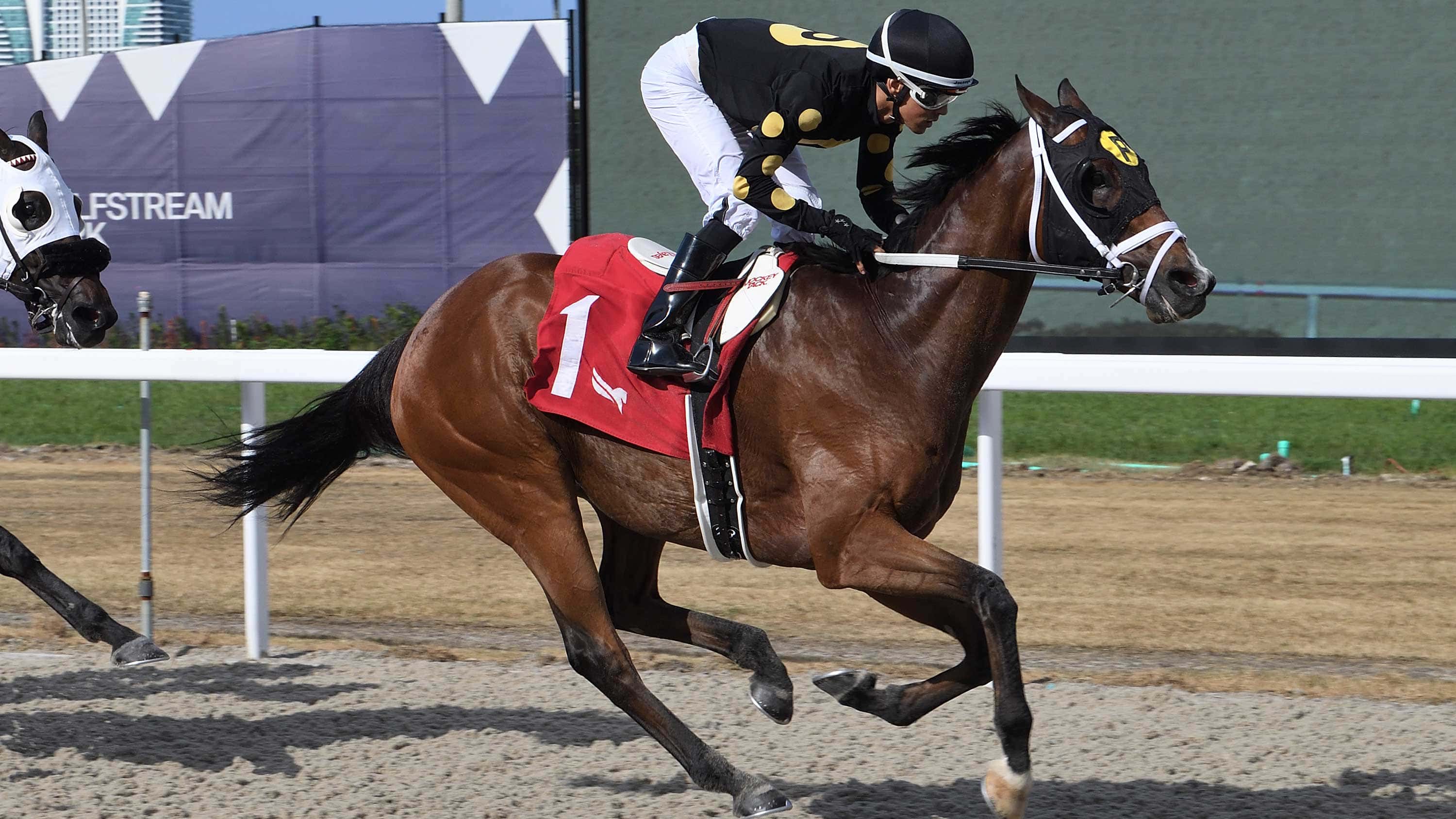 Me-and-Mr-C-the-Soldiers-Dancer-