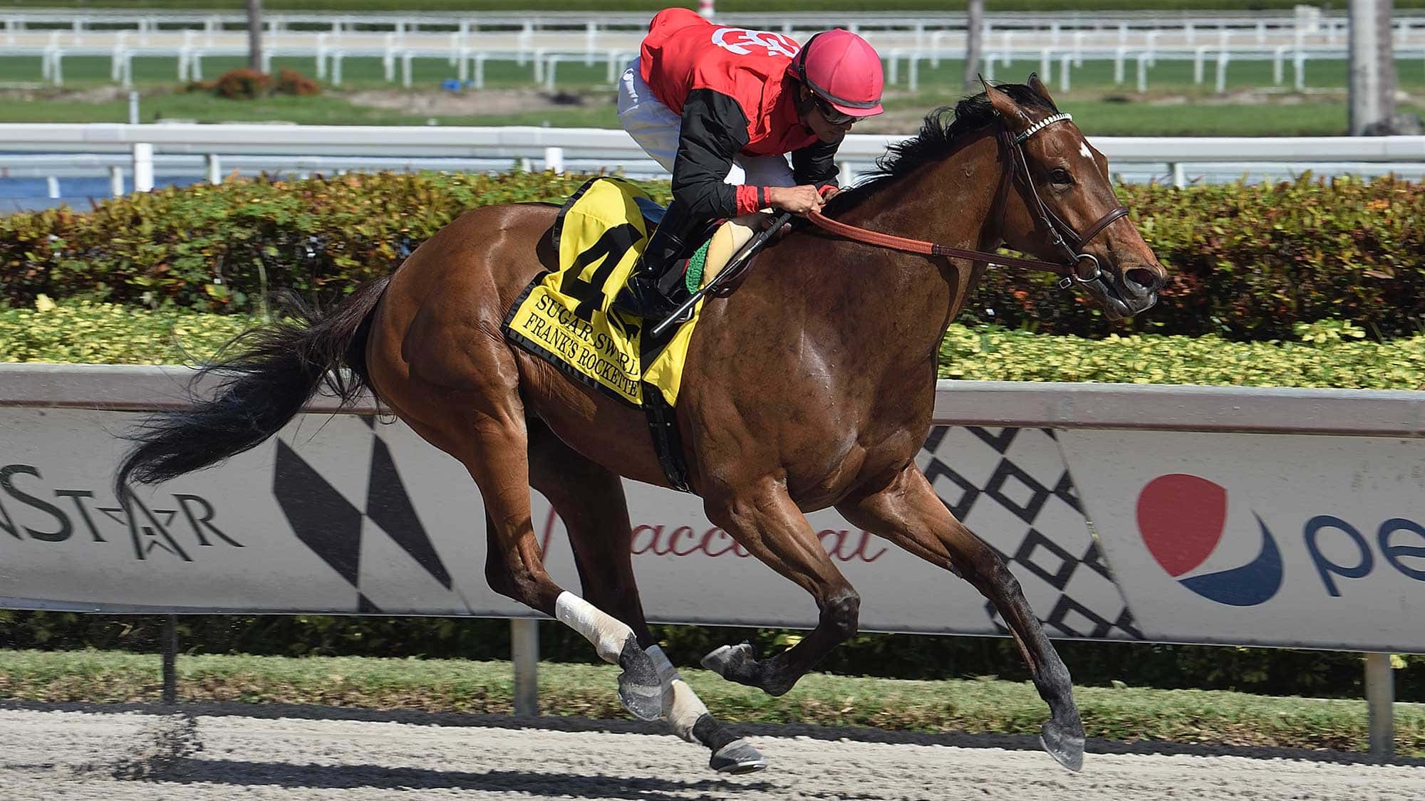 Franks-Rockette-the-Sugar-Swirl