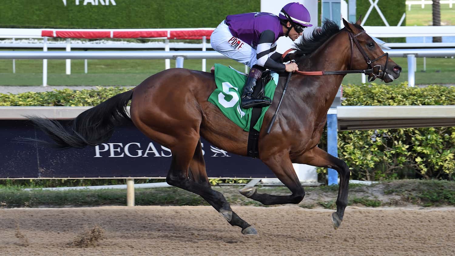 Rockies Balboa Coolmore Fountain of Youth Live Longshot?