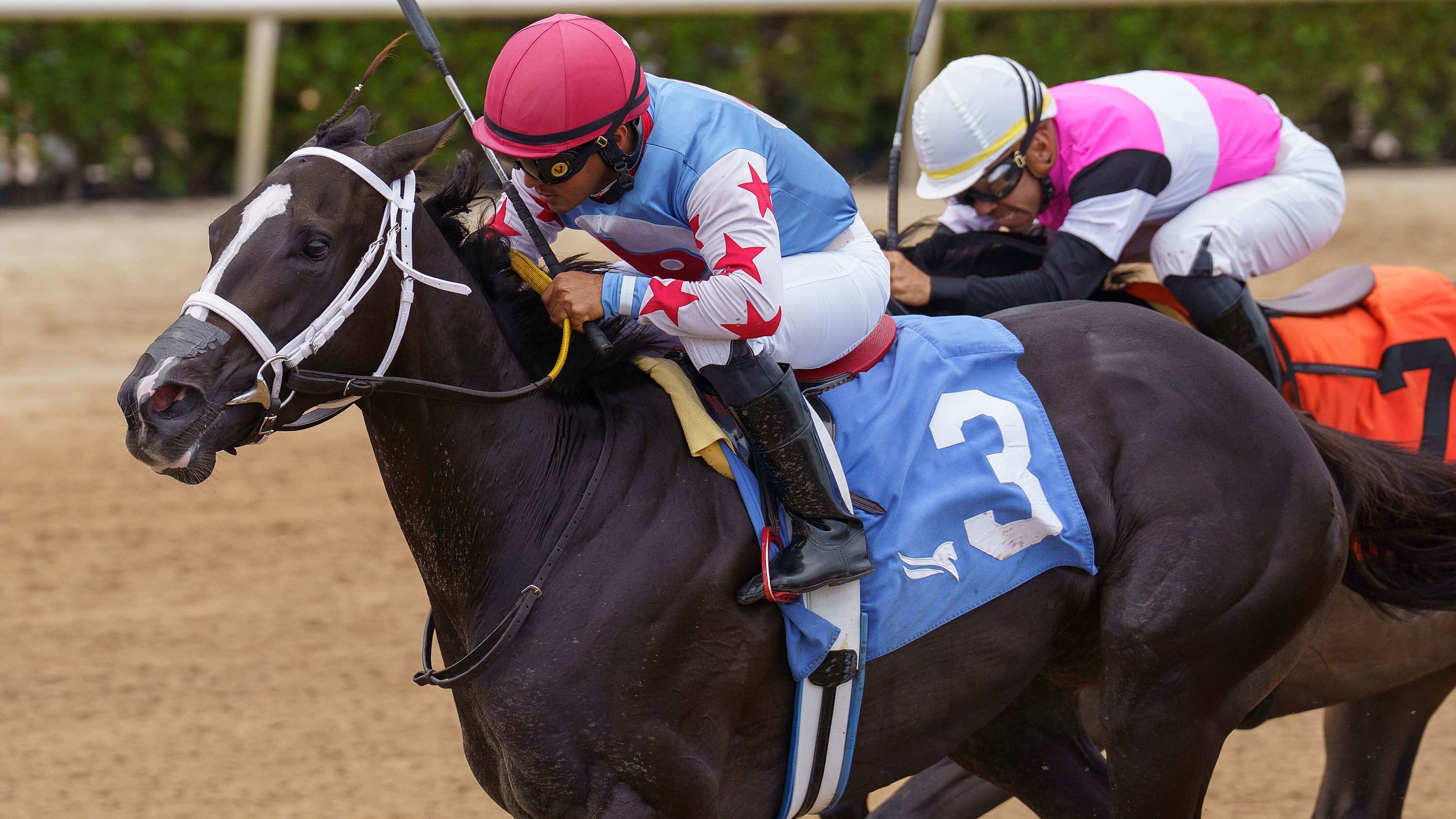 Vasquez a Perfect Fit for Andrea in Saturday’s Azalea