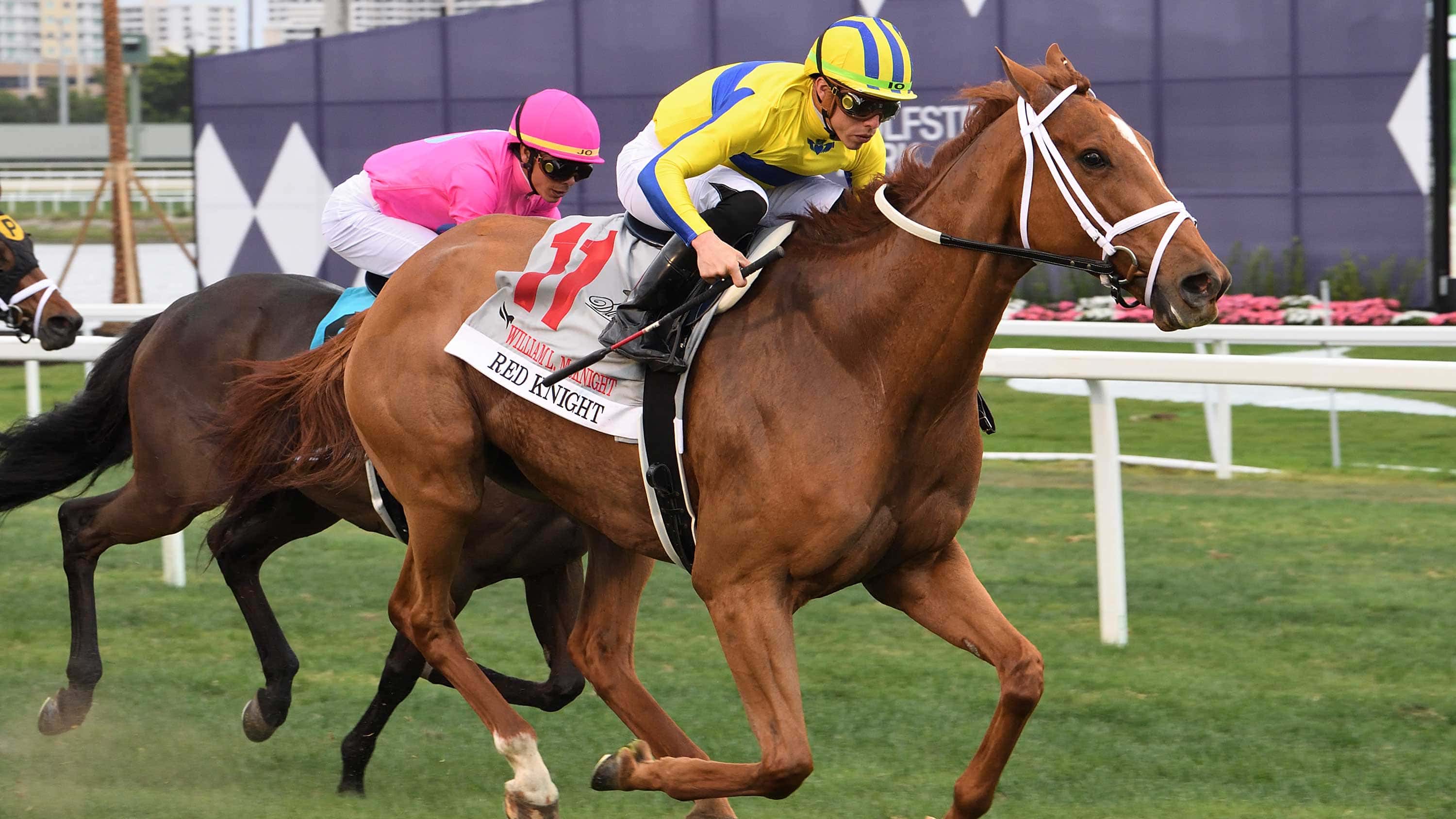 Red-Knight-the-W-L-McKnight