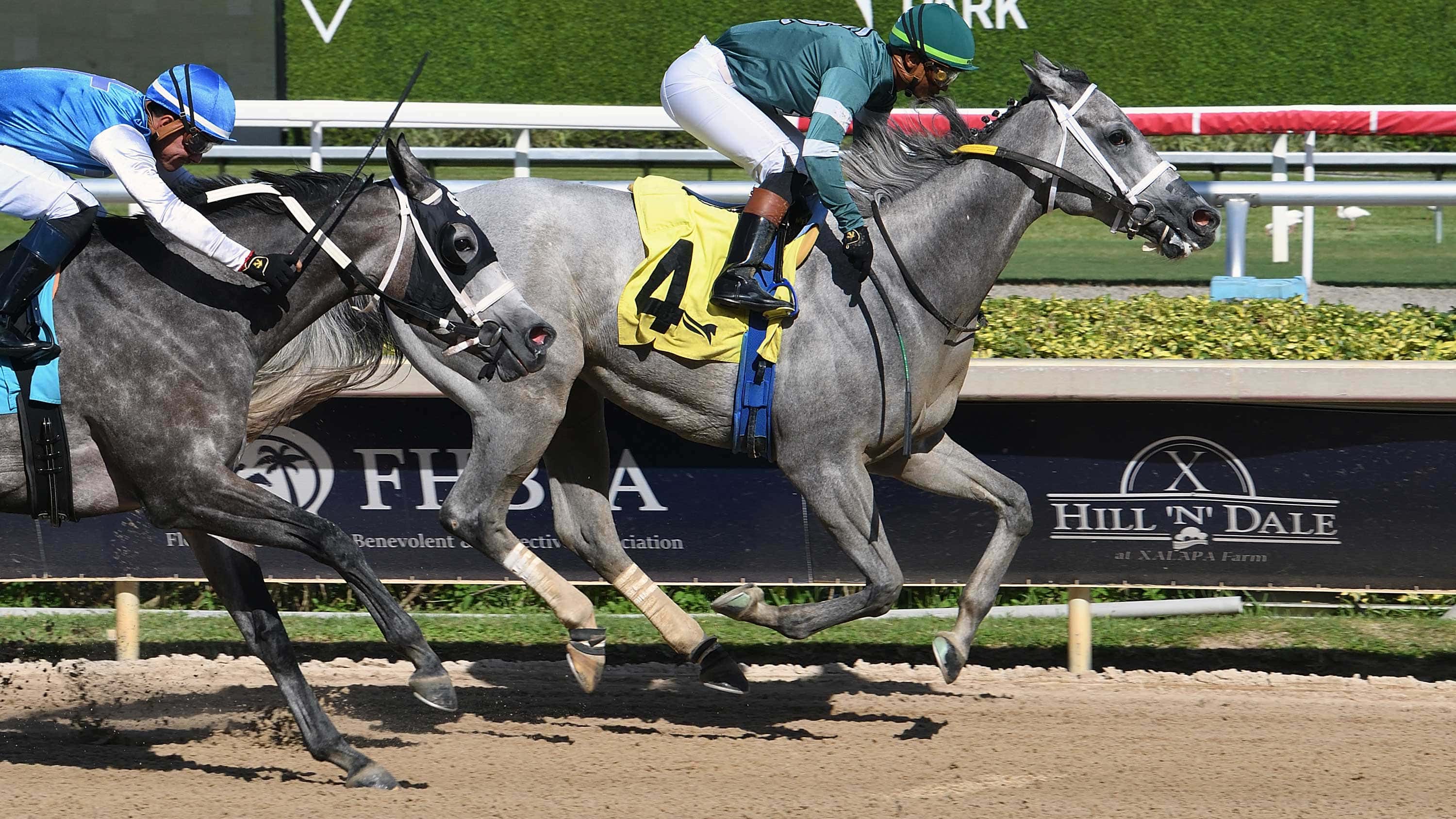 Jestina Runs Win Streak to Five Races in Friday Feature