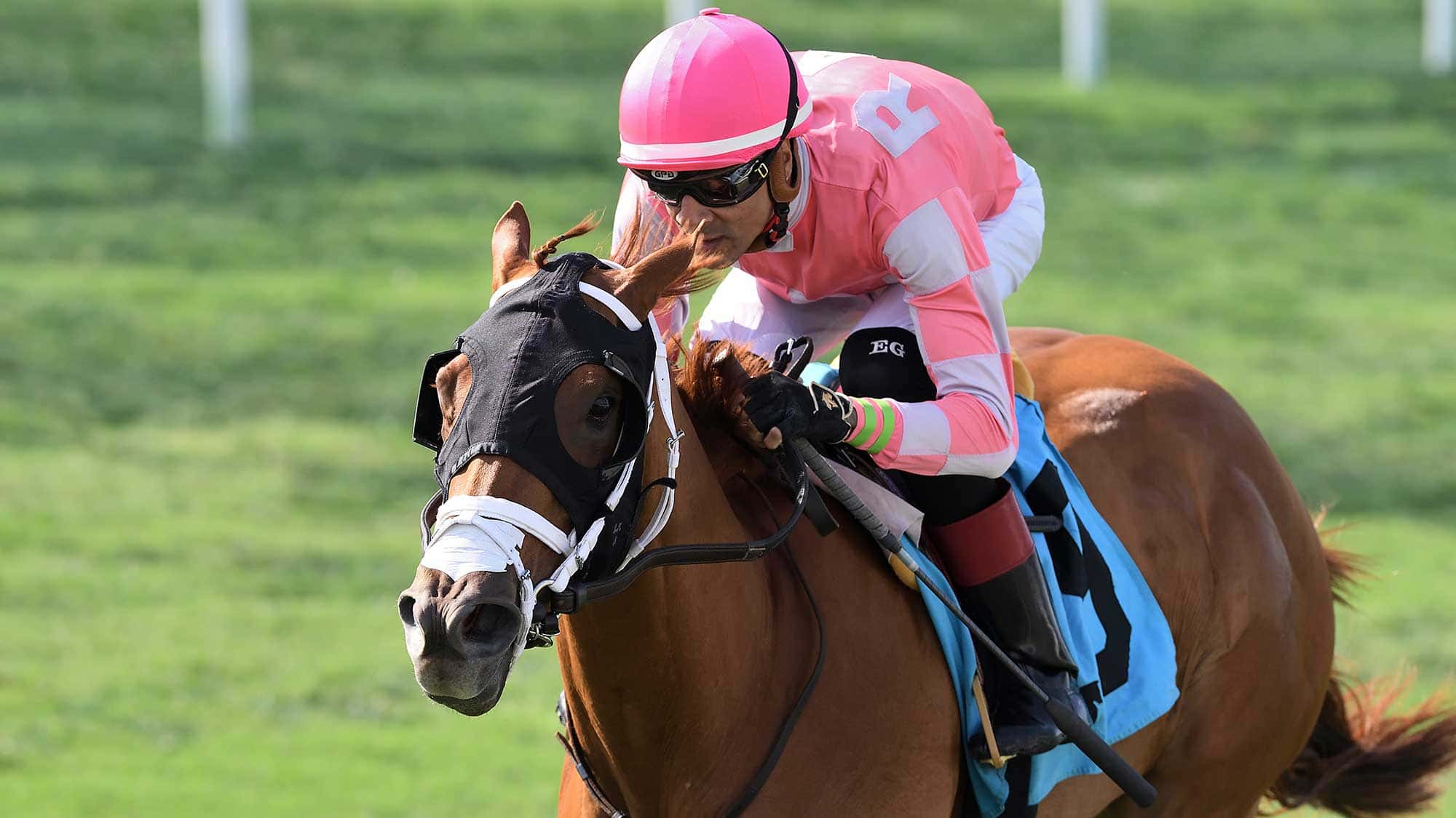 Crimson-Advocate-the-Royal-Palm-Juvenile-Fillies-0