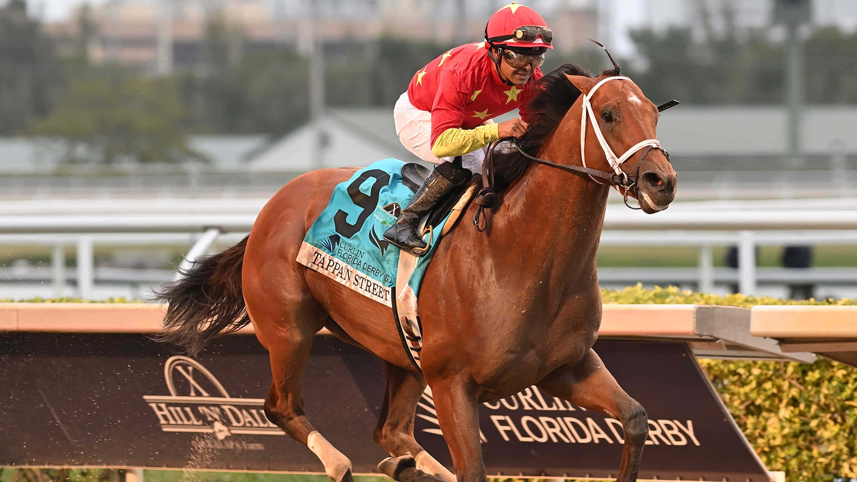 $1 MILLION CURLIN FLORIDA DERBY (G1) QUOTES