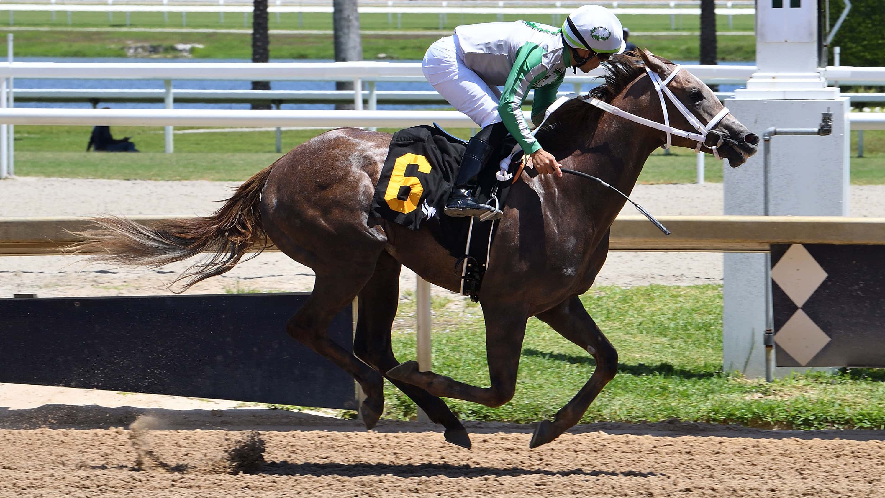 Boots Set for Highly Anticipated Return in Sharp Susan