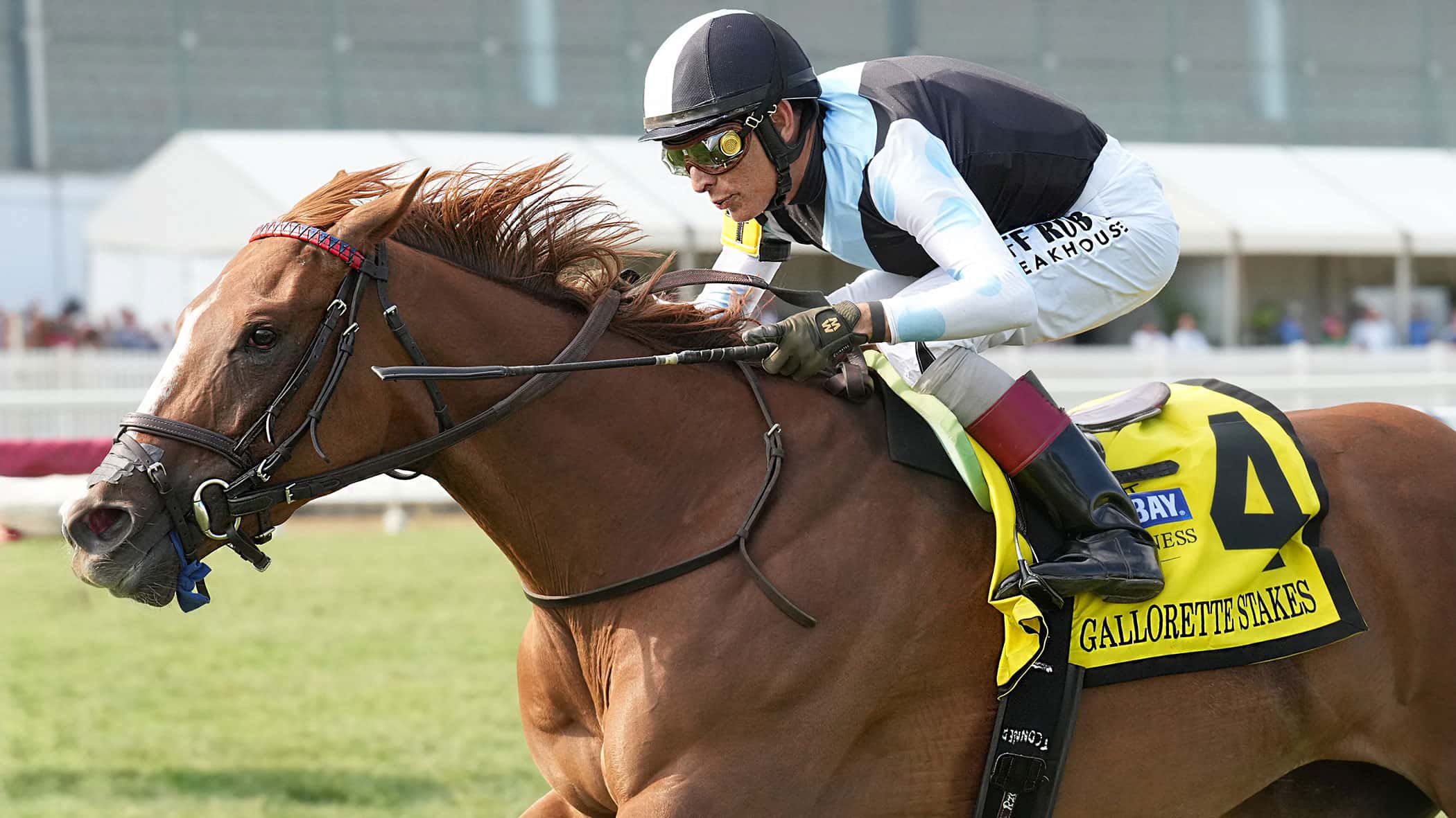 Successful Return to Turf for Warming in Gallorette (G3)