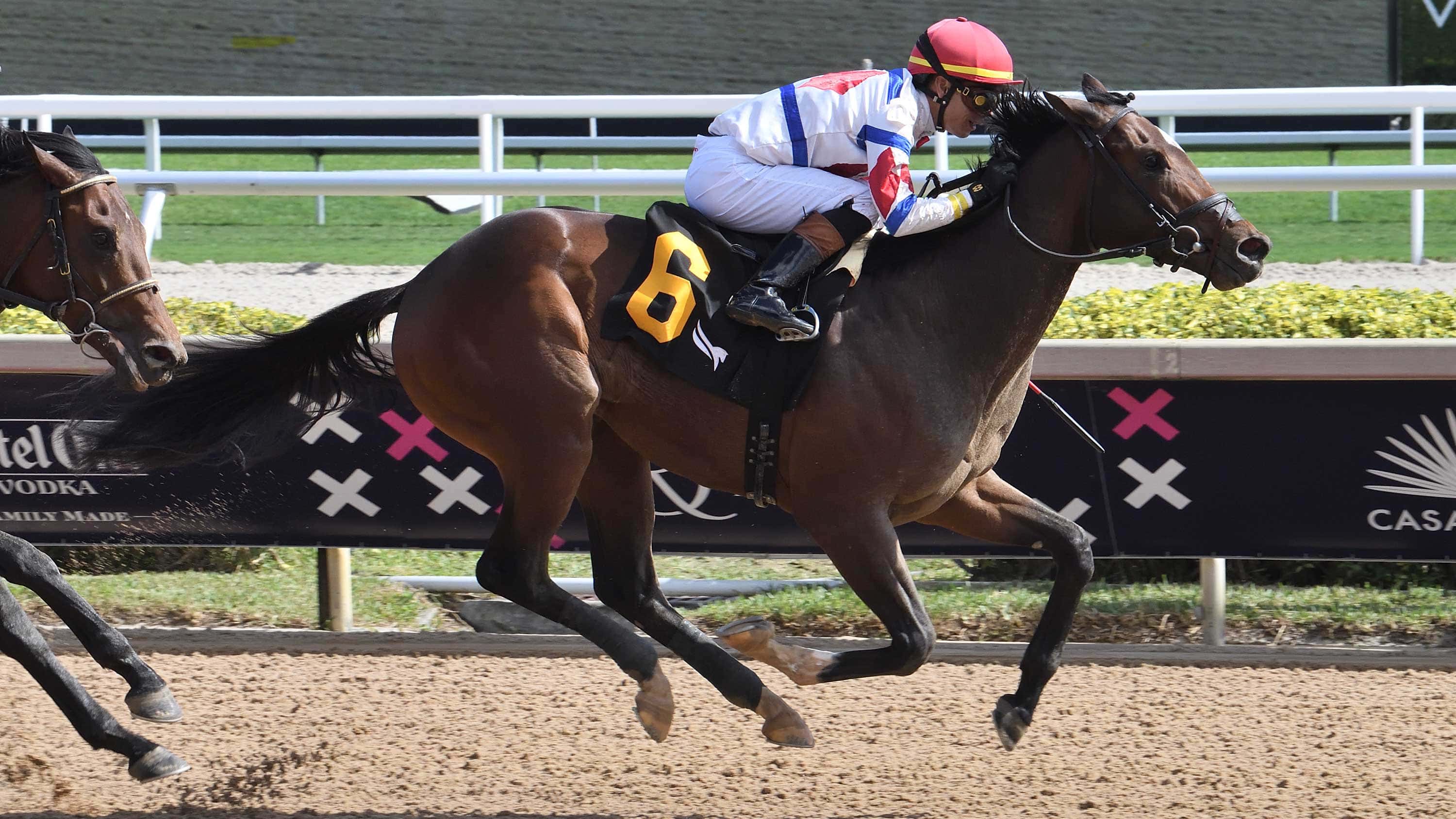 Jimmy’s Dailys ‘Really Good’ Heading into G1 Florida Derby