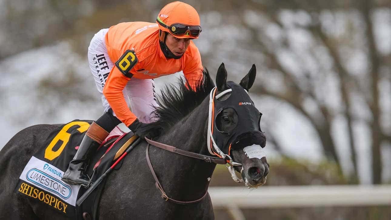 Champion Filly Shisospicy Working Toward Breeders’ Cup Return