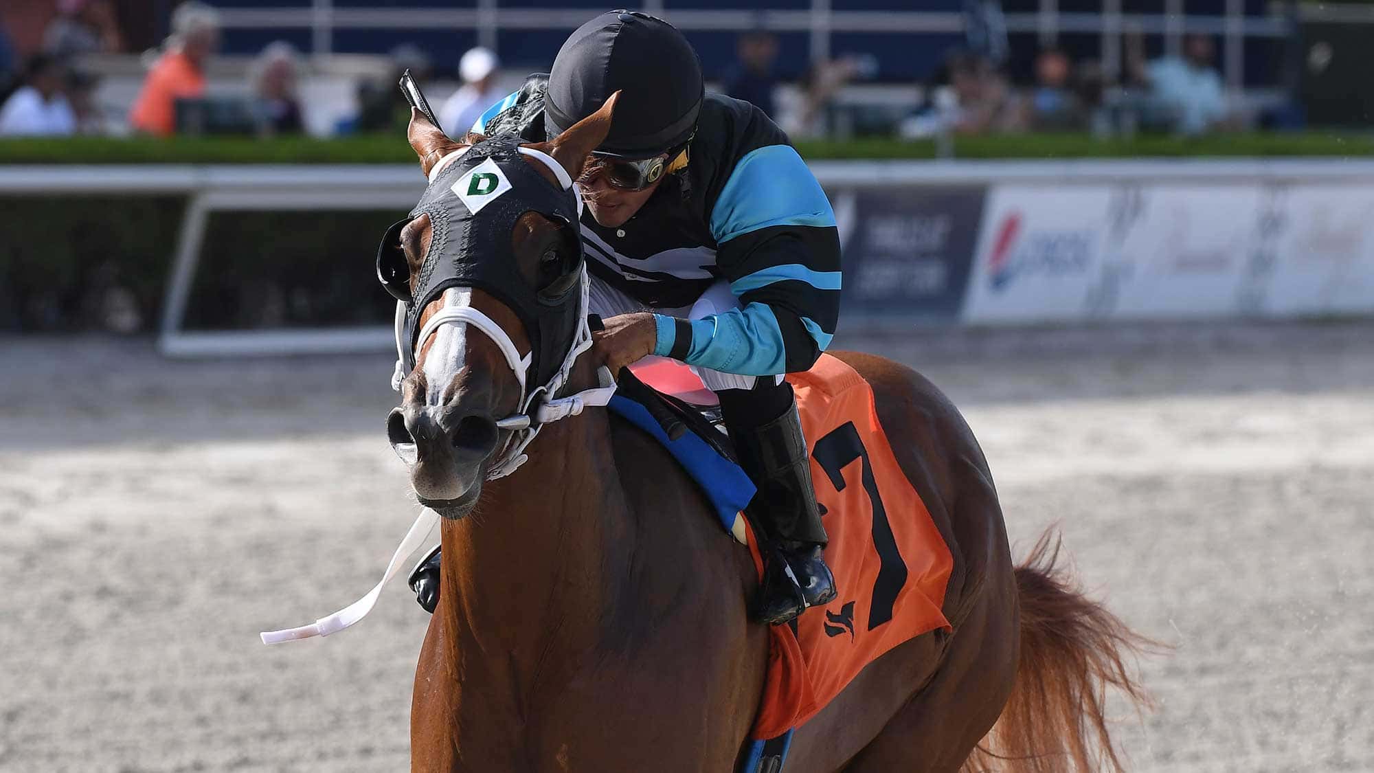 Awesome-Strong-the-FSS-Dr-Fager-