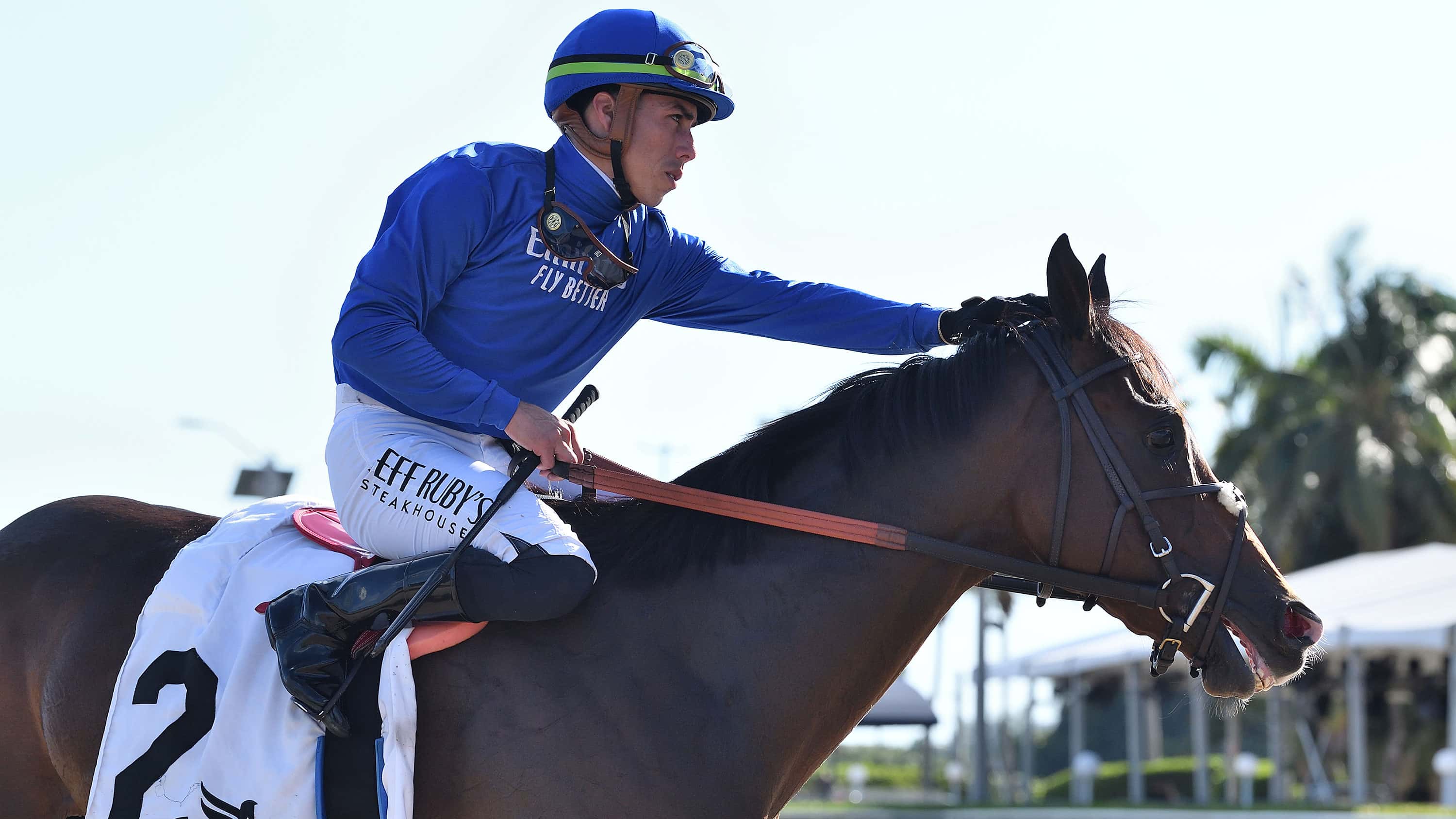Civetta Looks to Make the Grade in Herecomesthebride (G3)