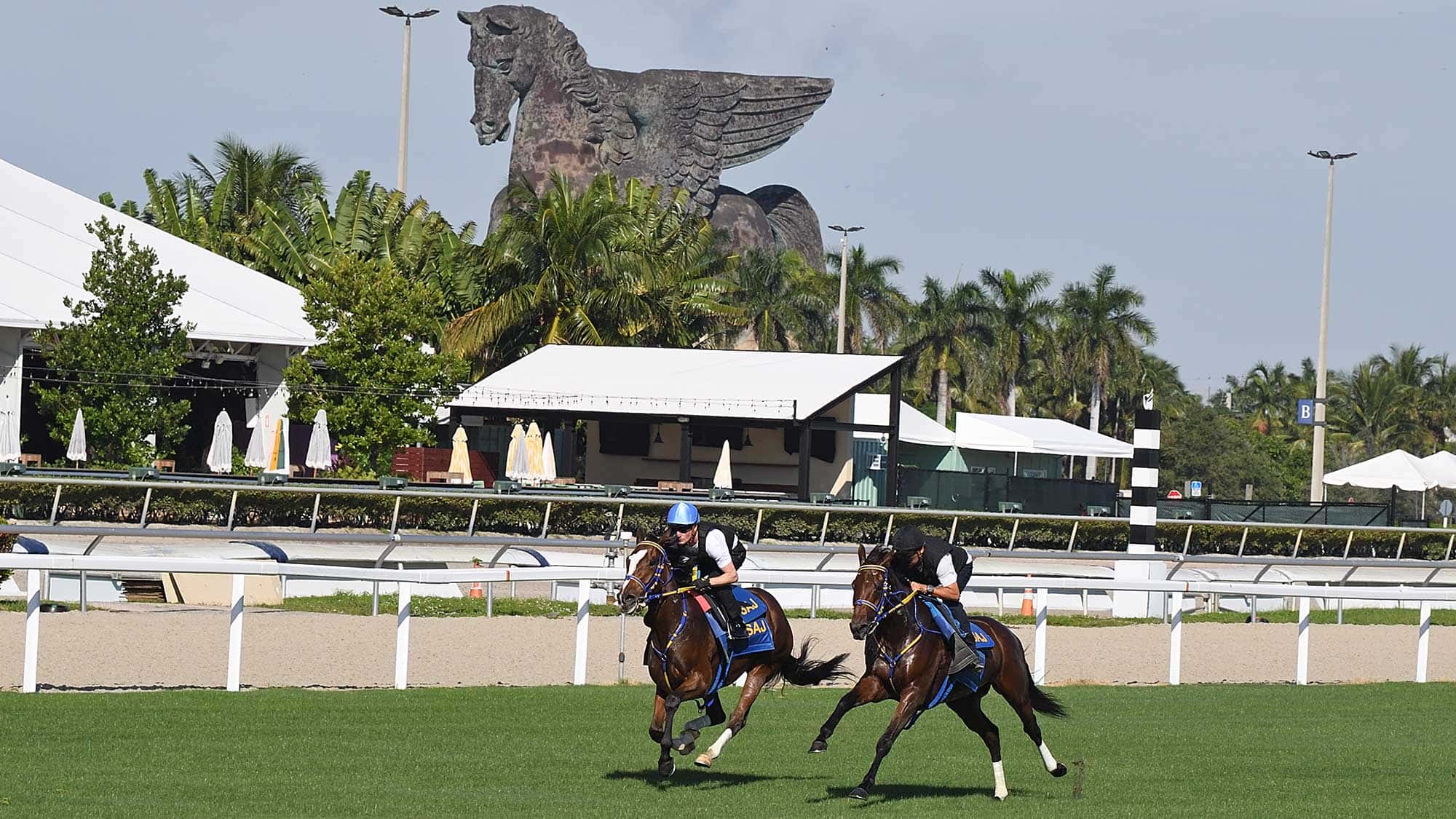 Turf-breeze-11-28-22-3