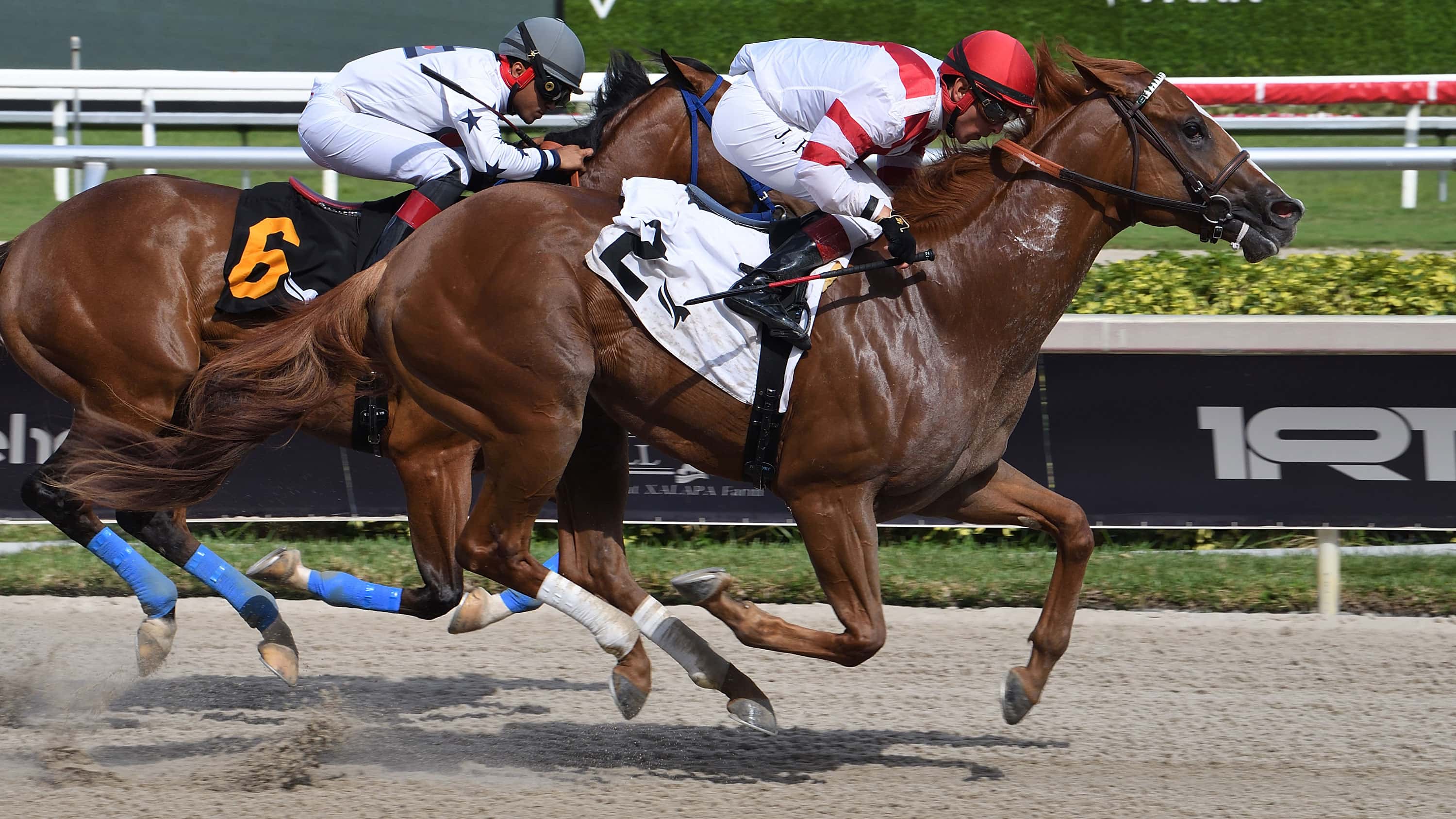 Mr Skylight Seeking to Regain Form in $75,000 Awesome Banner