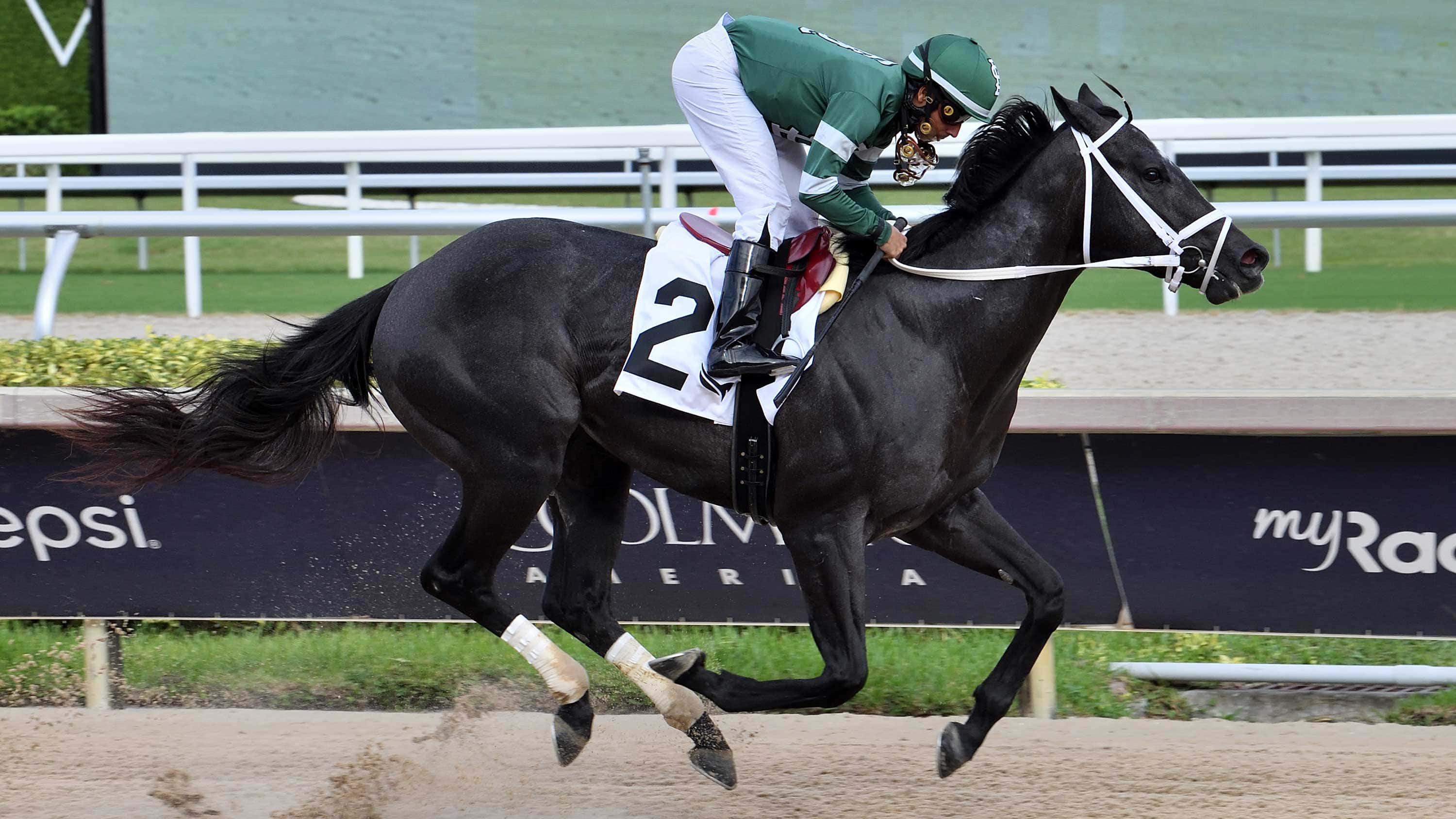 Undefeated Rated by Merit Breezes for Florida Sire Stakes Final
