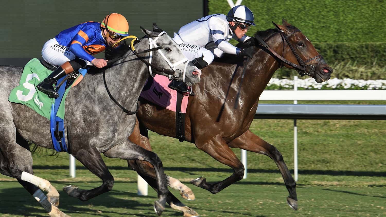 Moon Spun ‘On a Little Roll’ Entering Ladies Turf Sprint