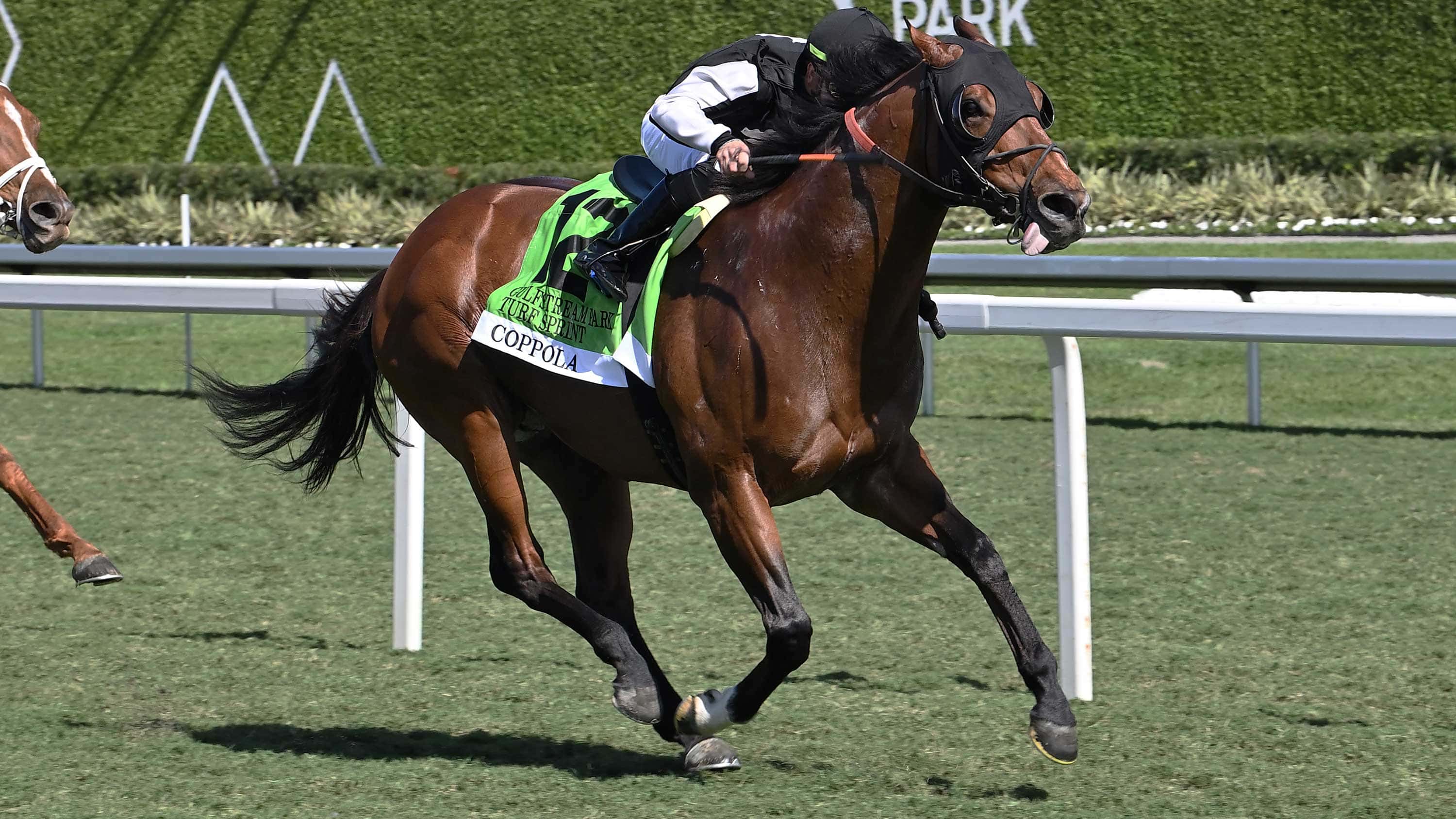 Coppola Favored to Defend Title in $115,000 Silks Run