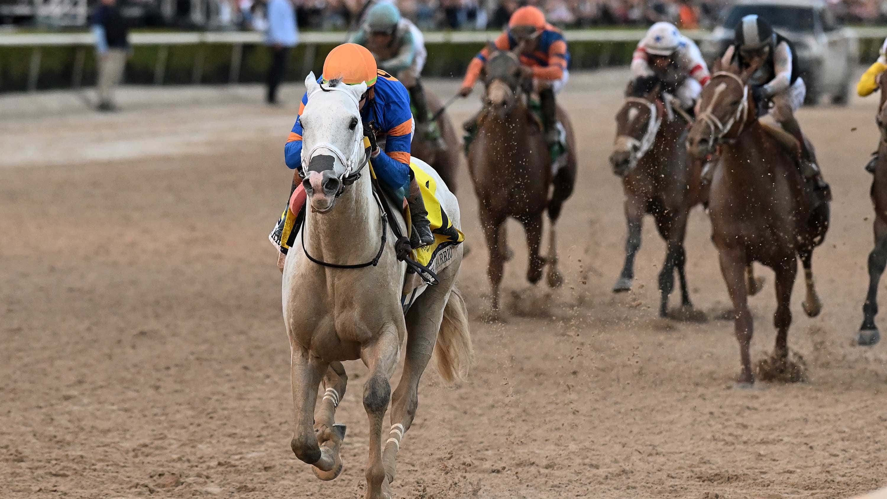 White Abarrio Romps in $3M Pegasus World Cup (G1) Victory