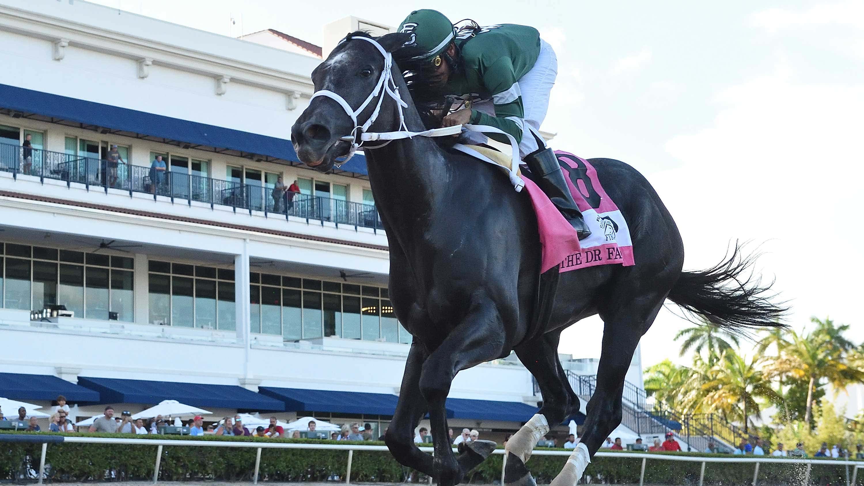 Rated by Merit’s Options Expanded with Dazzling Dr. Fager Win