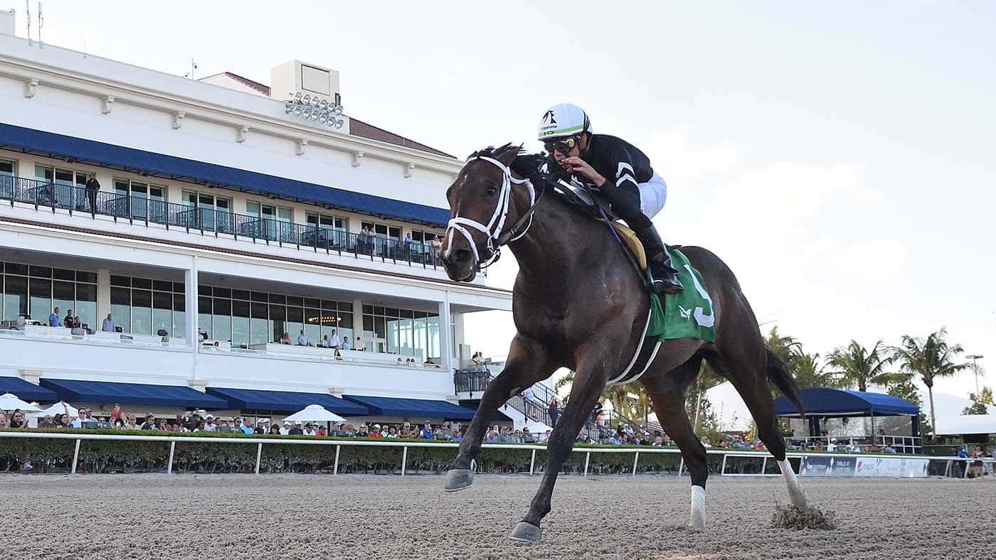 Provocateur-the-Hutcheson3-N2