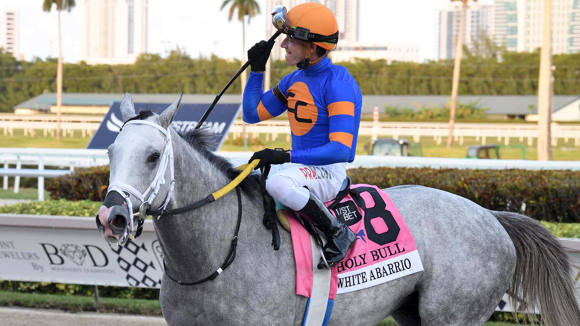 White-Abarrio-the-Holy-Bull-0