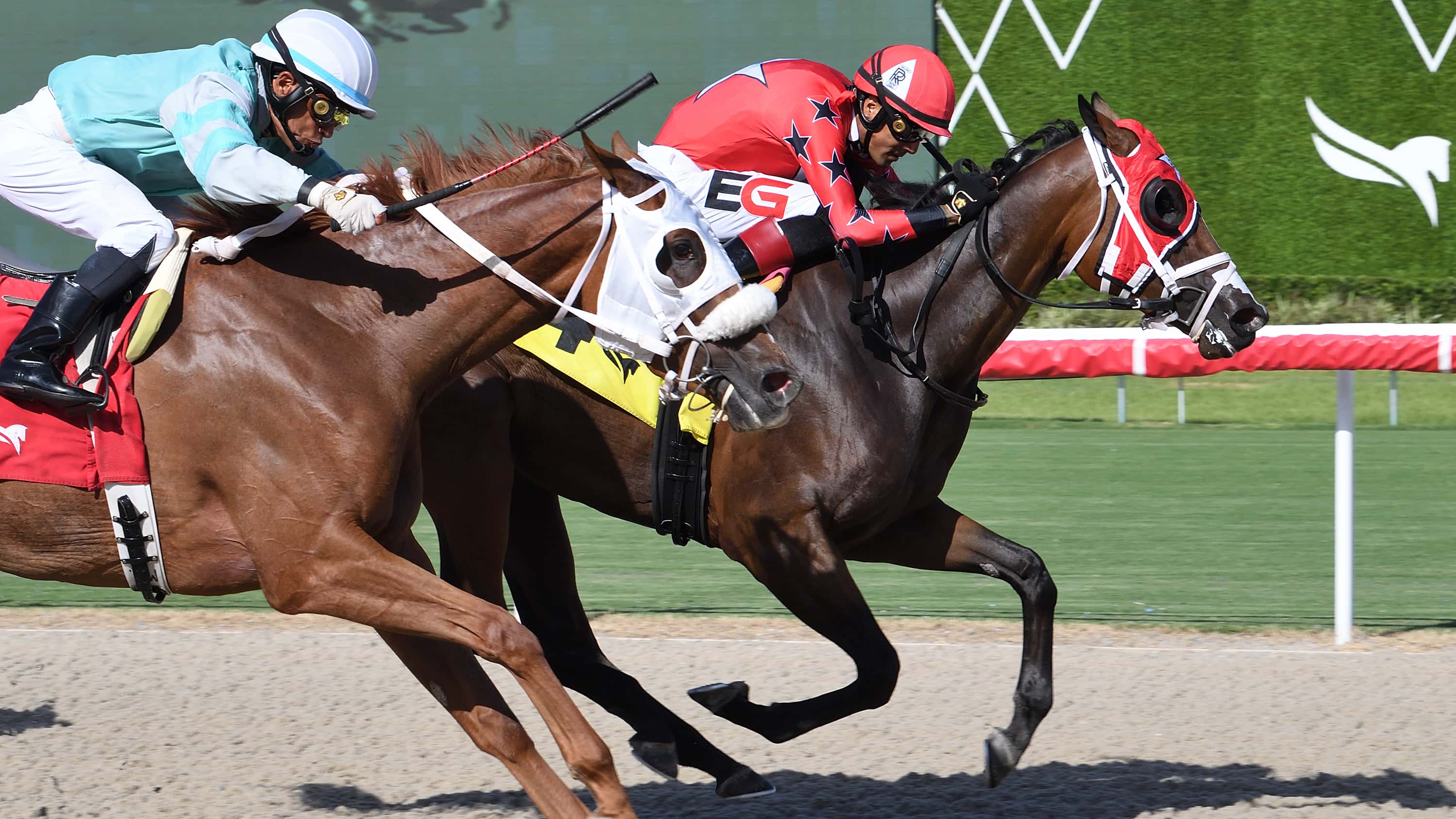 Scarlet Sands Makes It Three Straight in $75,000 Miss Gracie