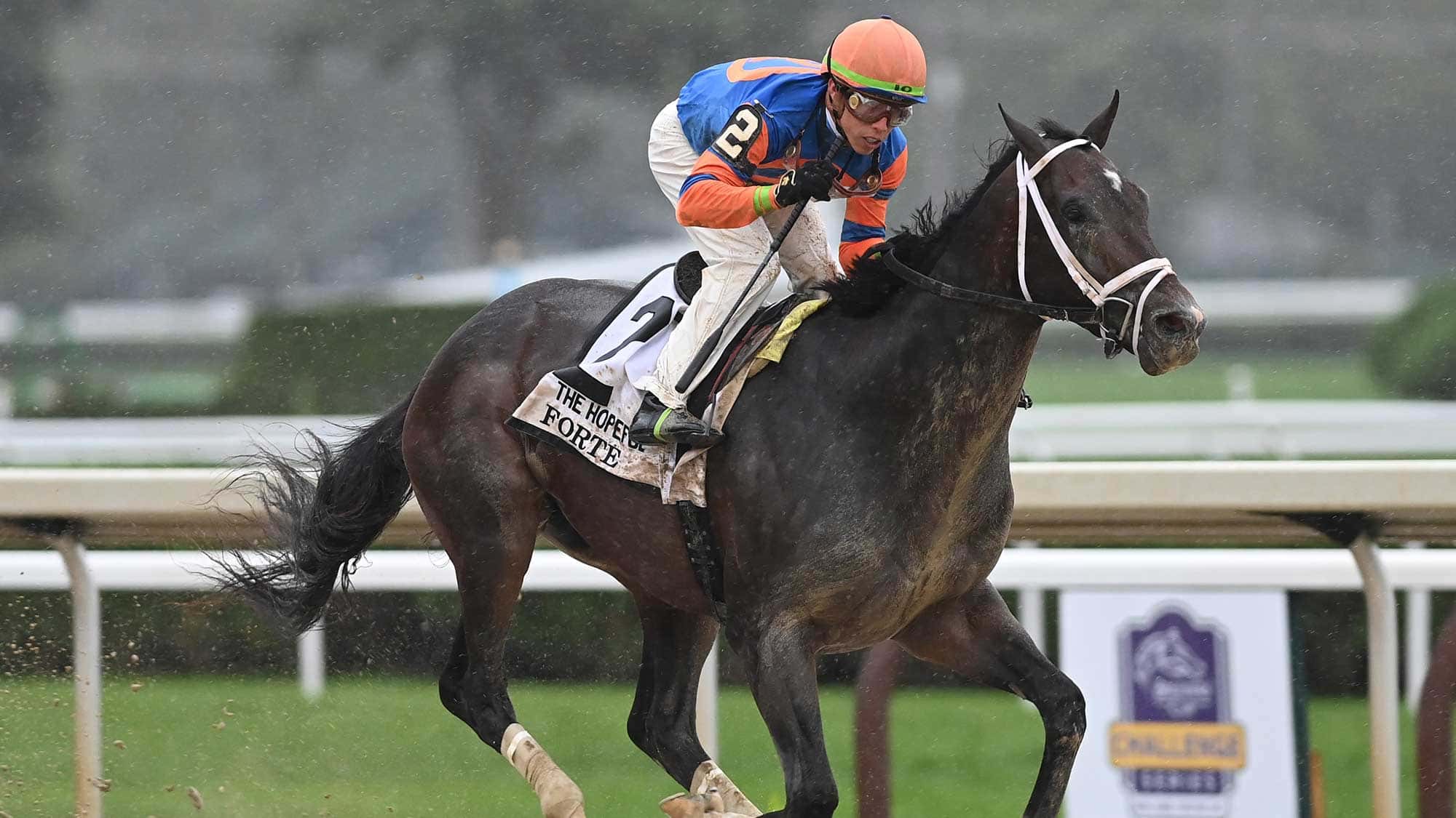 forte-the-hopeful-jpg