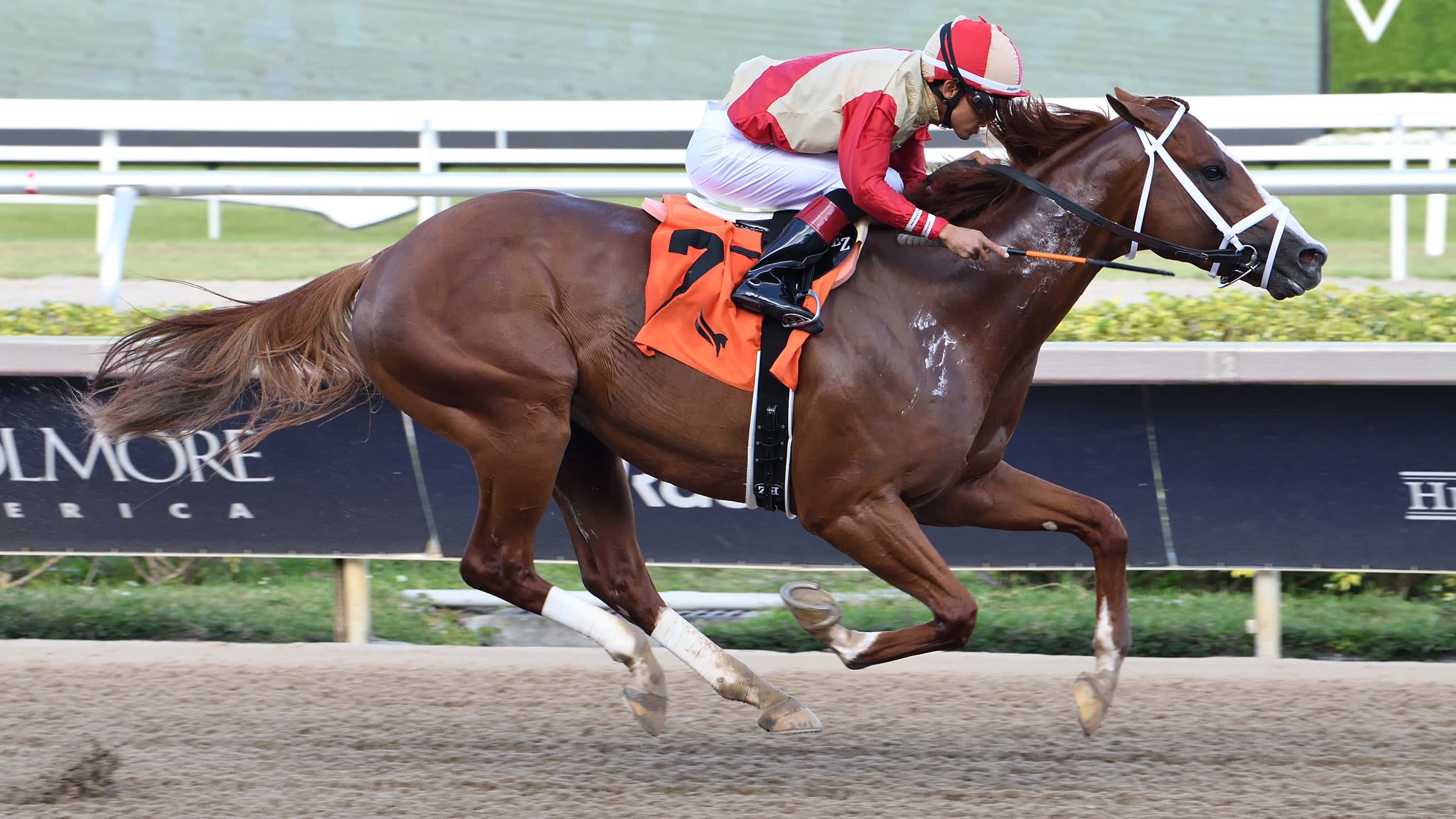 G3 Winner Antiquarian Successful in Return to Races