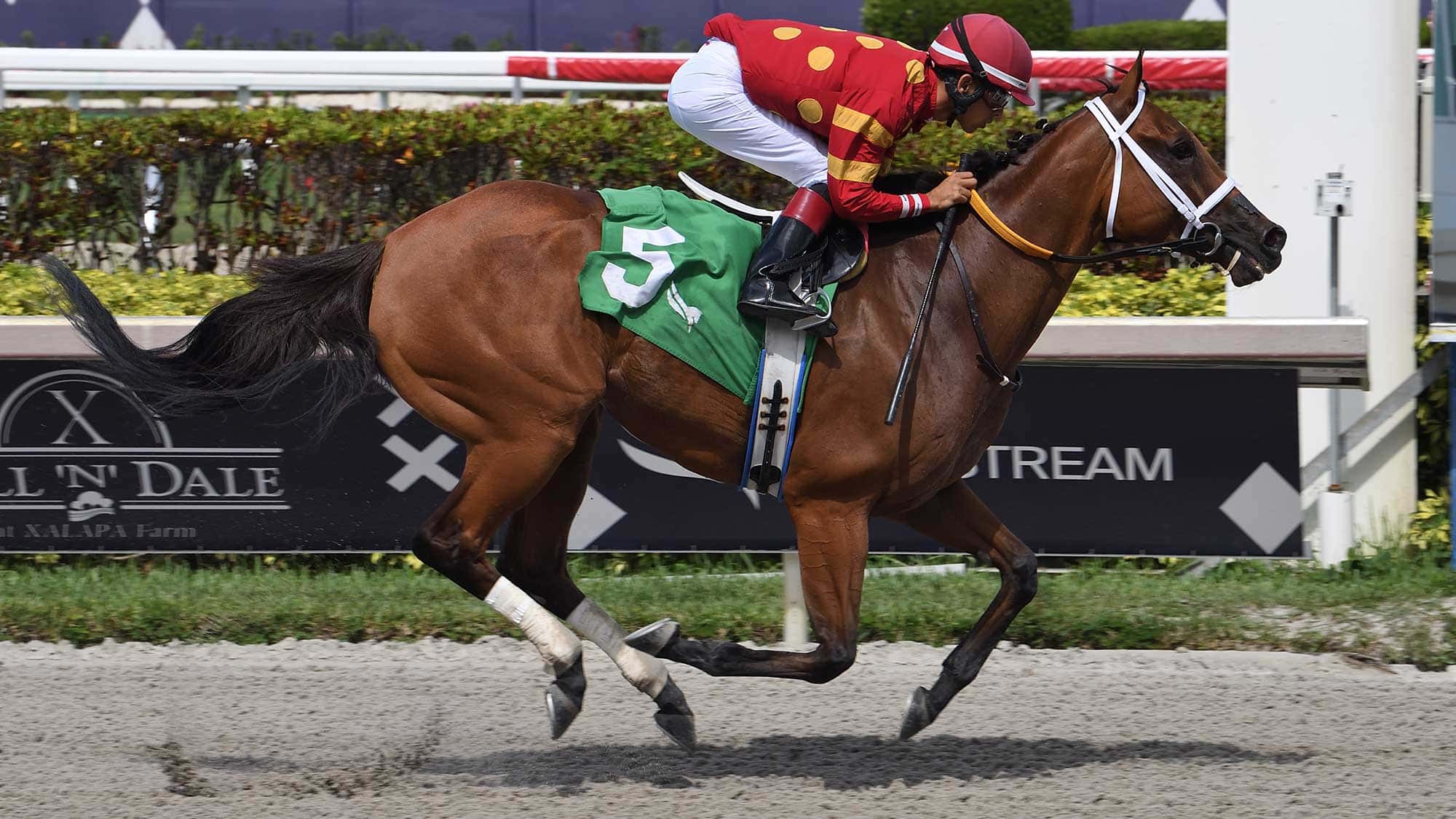 Bluefield-the-Musical-Romance-