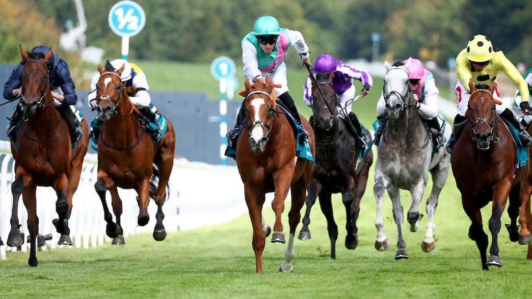 Qirat Scores Monumental Upset in G1 Pegasus Turf Qualifier