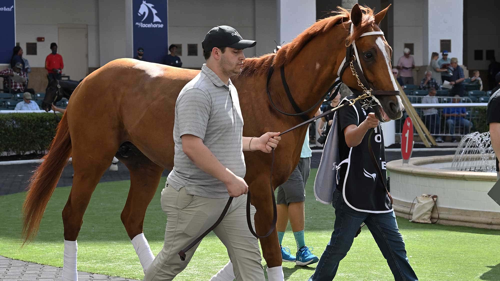 Cyberknife-1-26-23-4