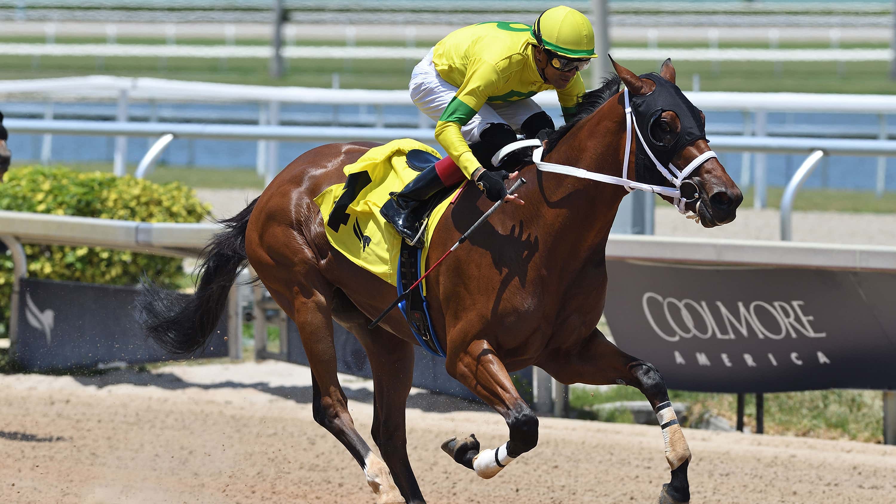 Cart Girl Sam Seeking Stakes Win in Ladies Turf Sprint