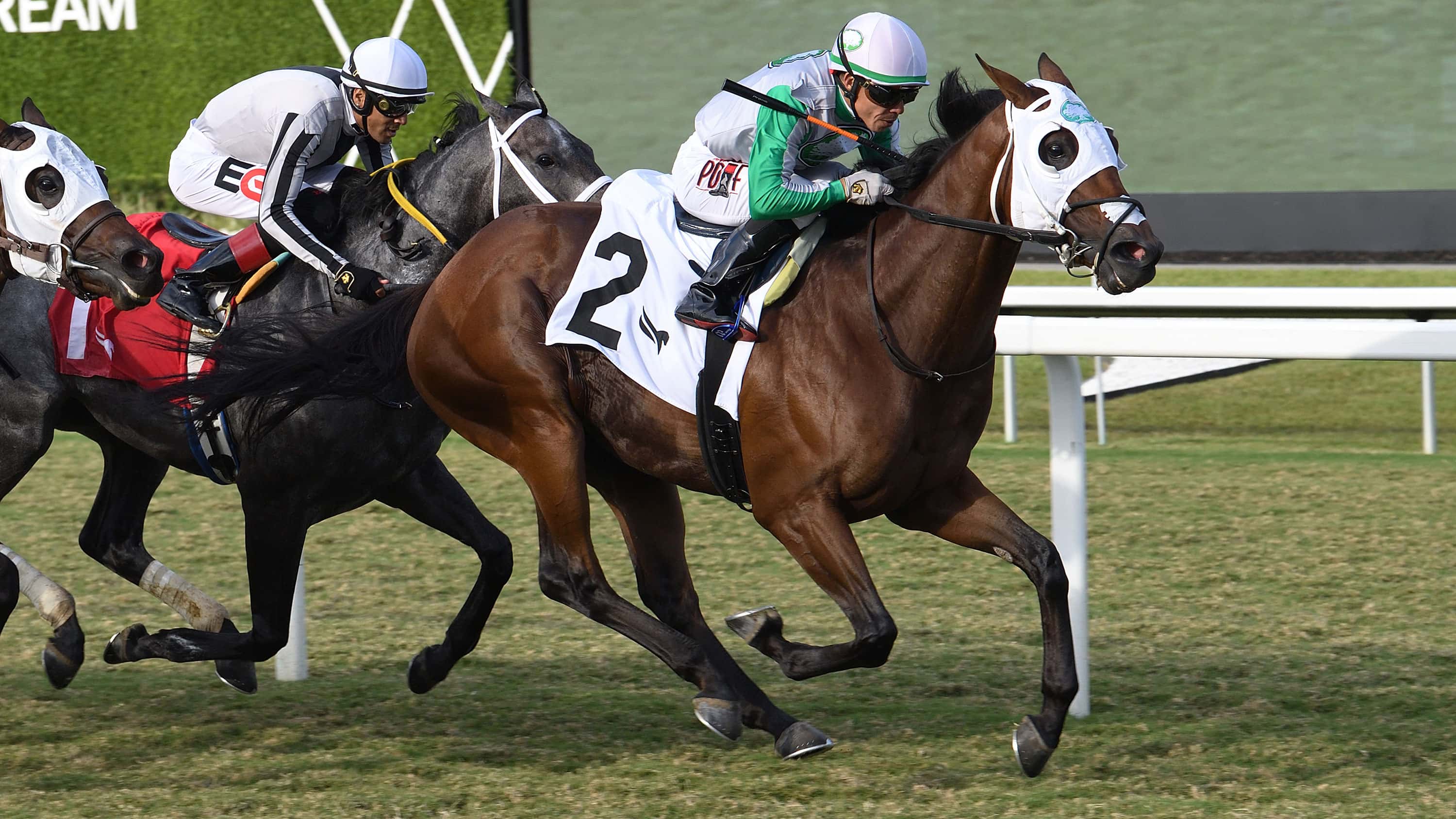 Stablemates Tank, Scarecrow Try $100,000 FHBPA Turf