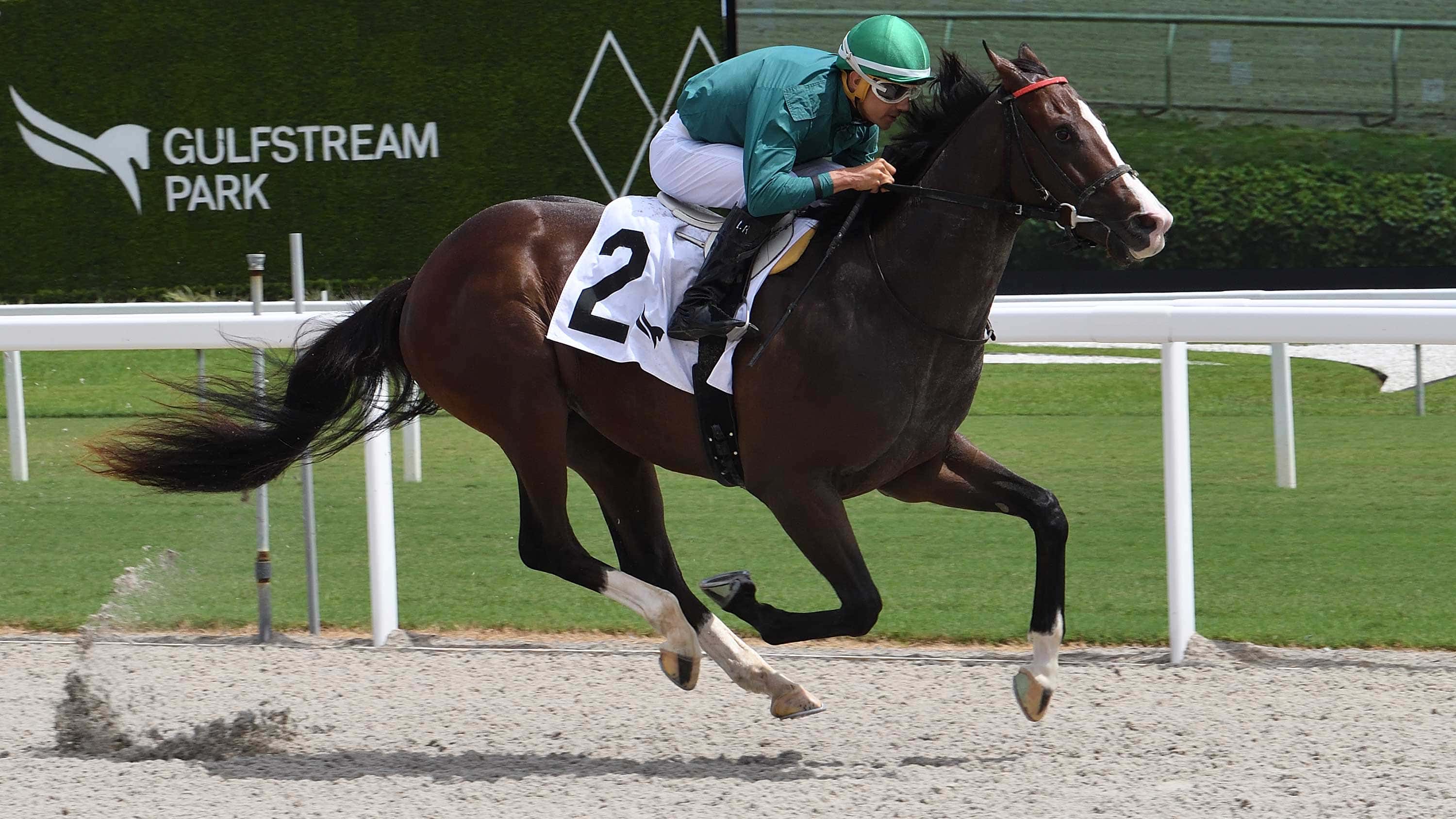 Juvenile Reza Proves His Worth in Dazzling Debut at Gulfstream