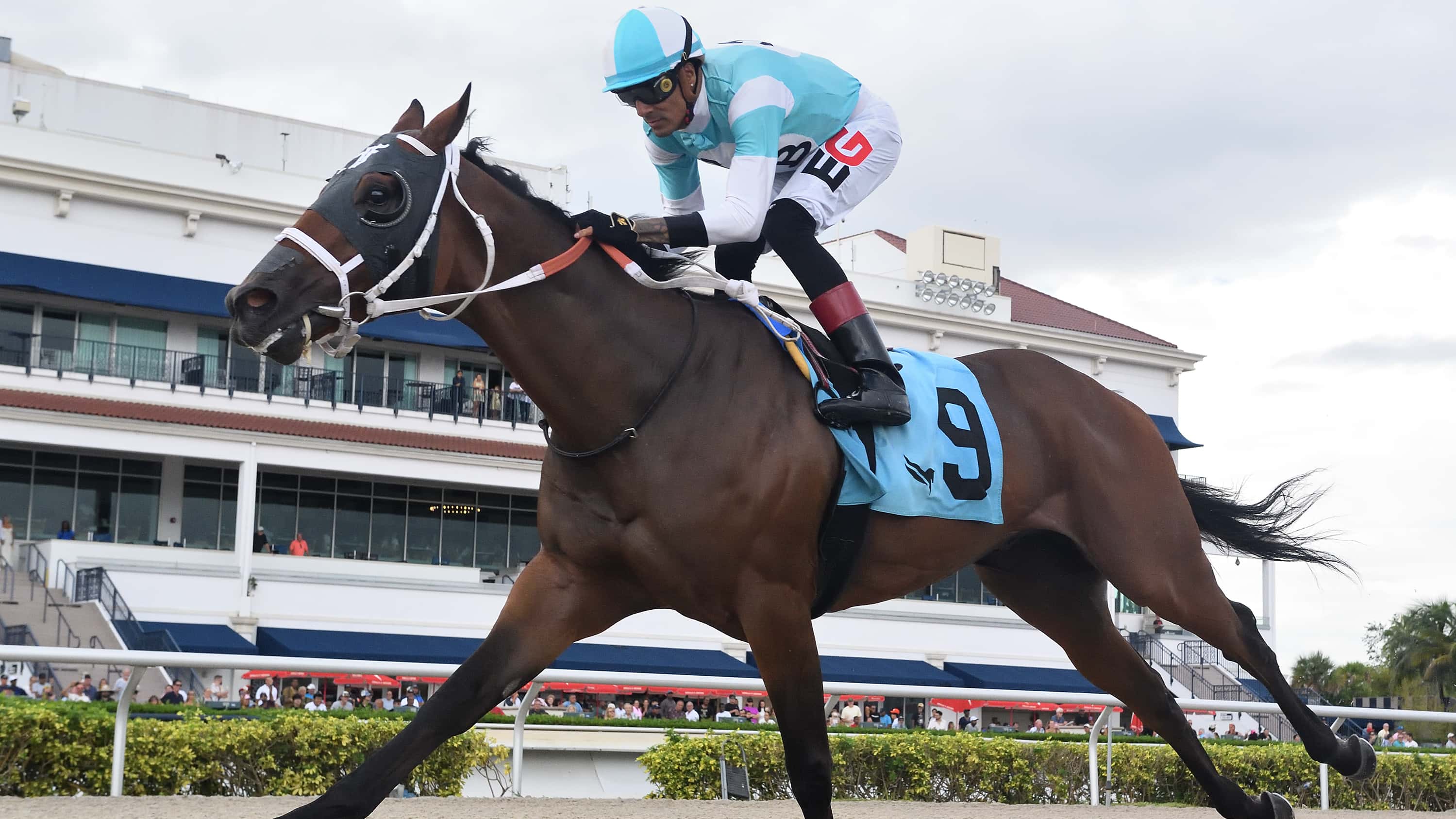 Asher’s Edge Much the Best in $75,000 Umphrey Sprint