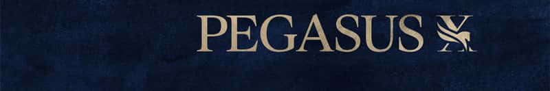 P10 Web-Banner GSP-Small 102725-v2