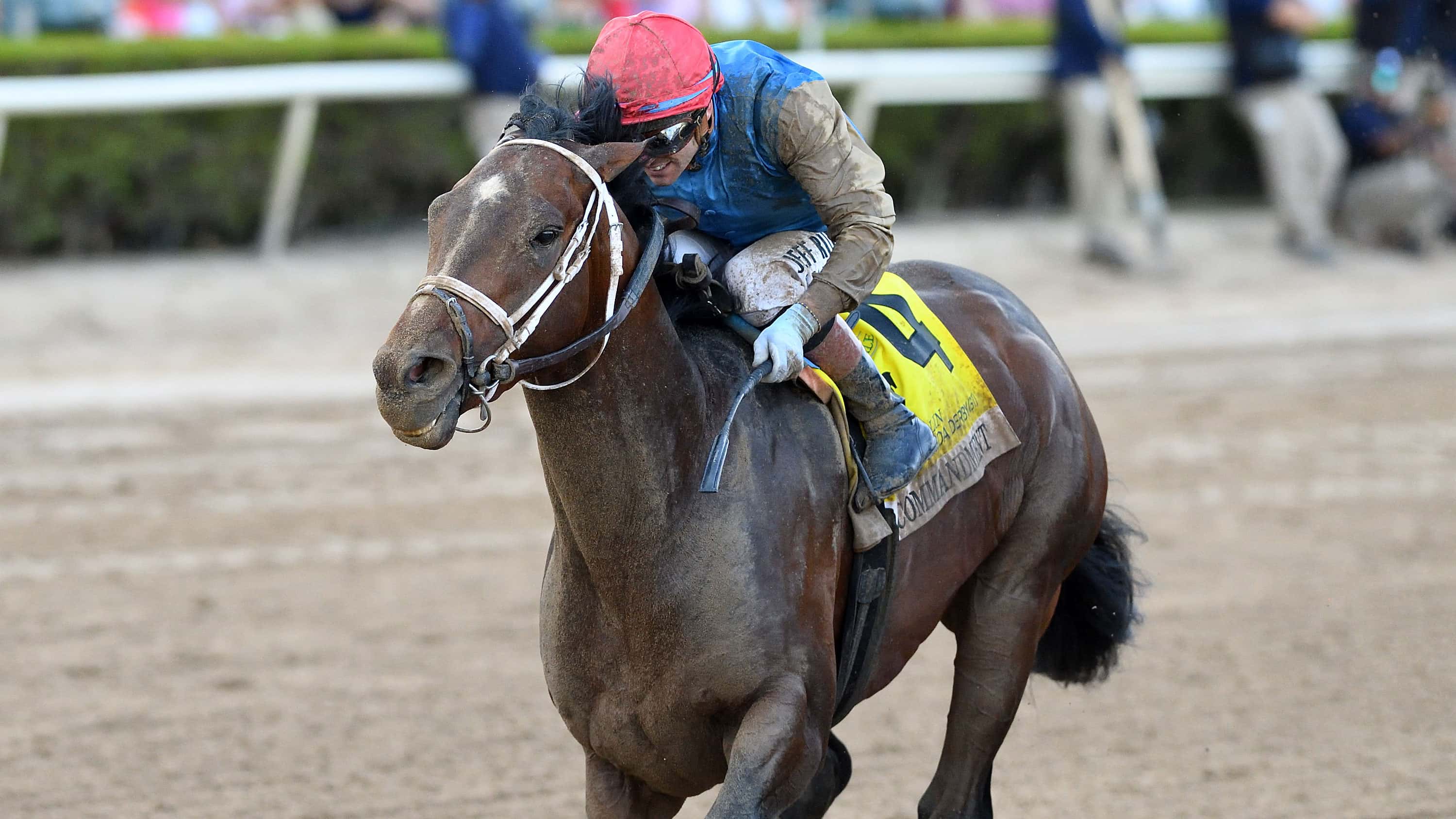 G1 Curlin Florida Derby Well-Represented in Kentucky Derby