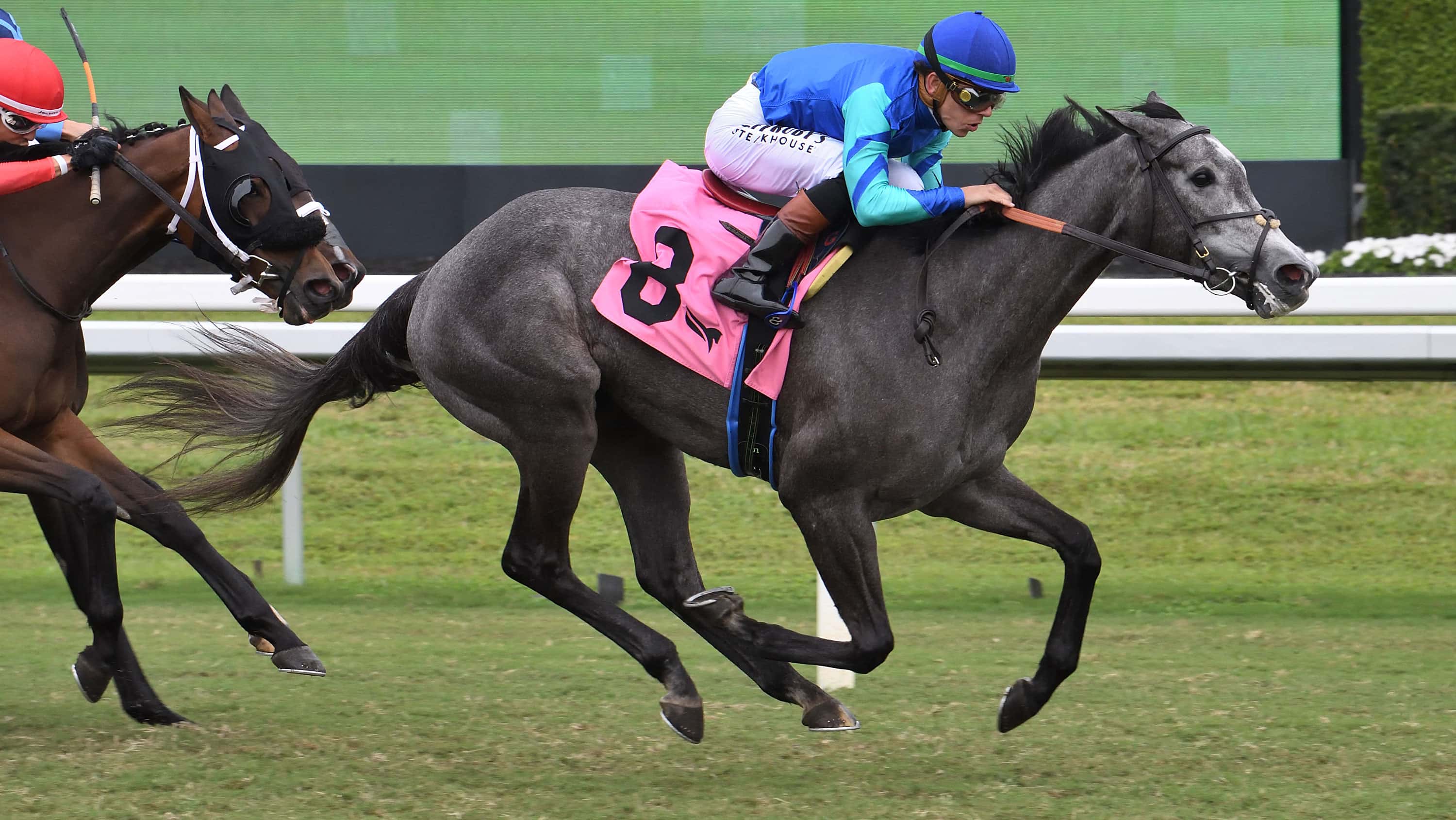 Lion Lake Upsets Sister Troienne in Herecomesthebride (G3)