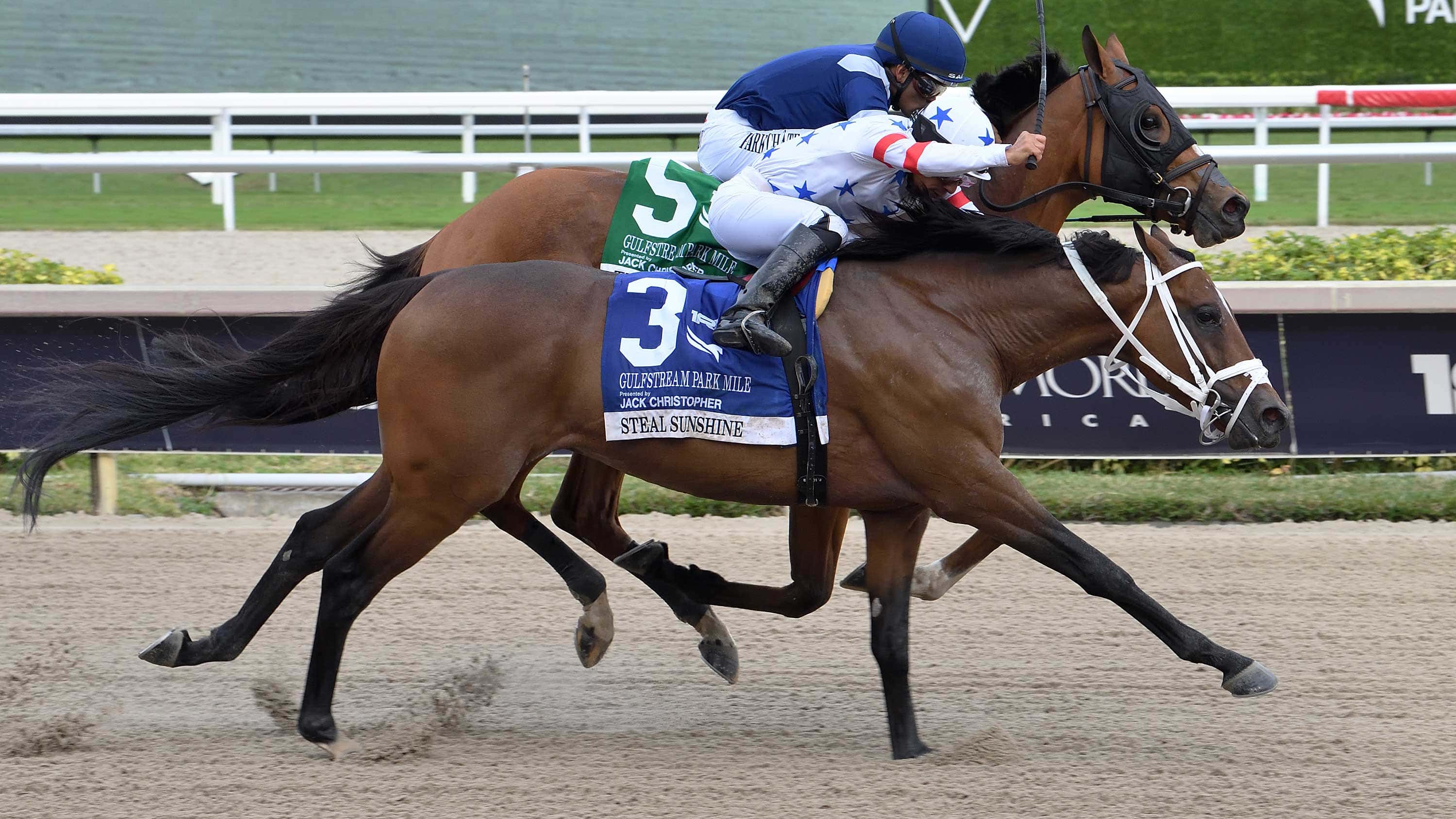 Future is Grass for Grade 2 Winner Steal Sunshine