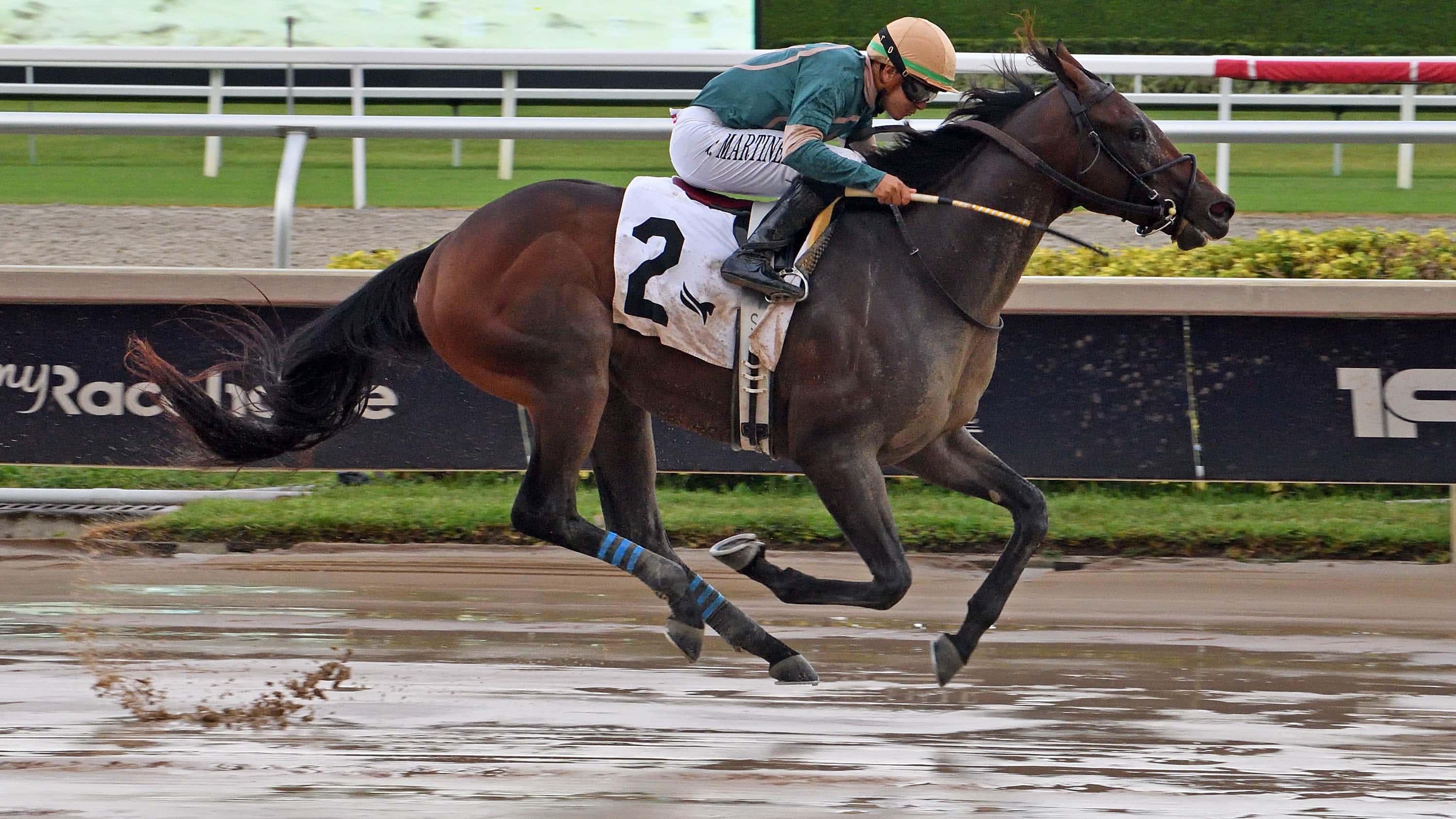 Diciassette Brings Impressive Resume into Hutcheson