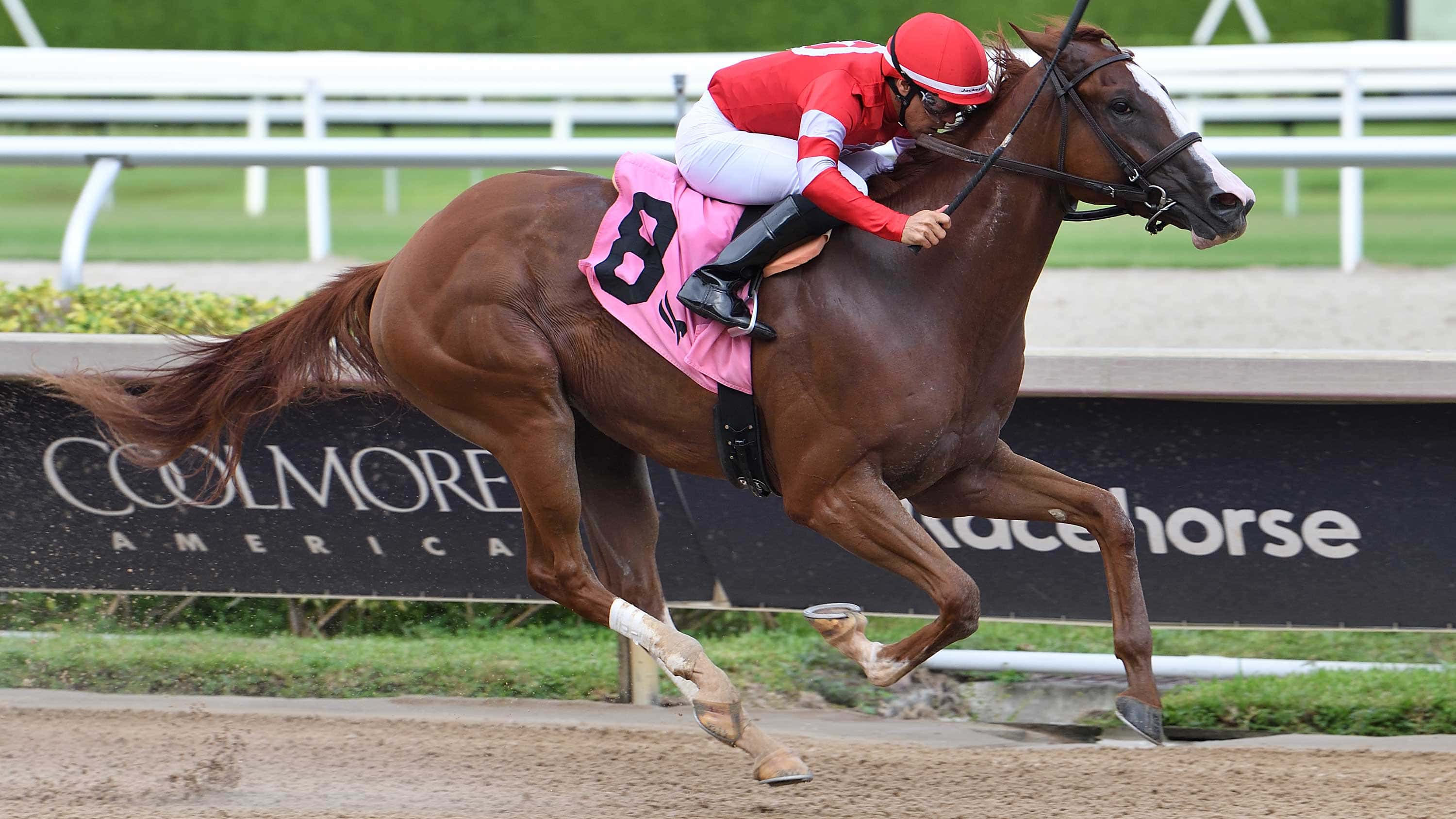 Stakes Winner Fourth and Central ‘Sitting and Waiting’ to Run