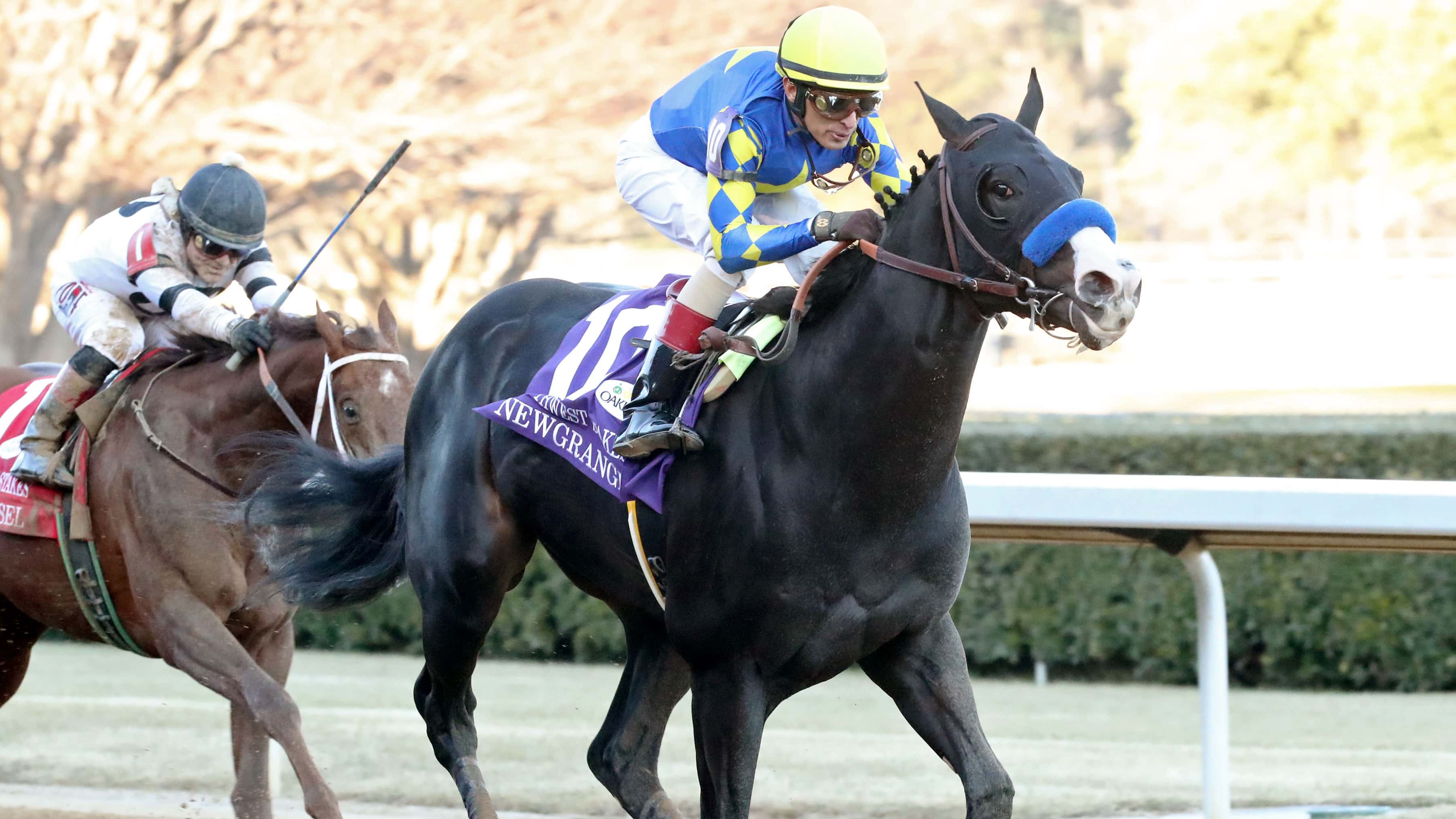 Newgrange, Skippylongstocking Work for $3M Pegasus