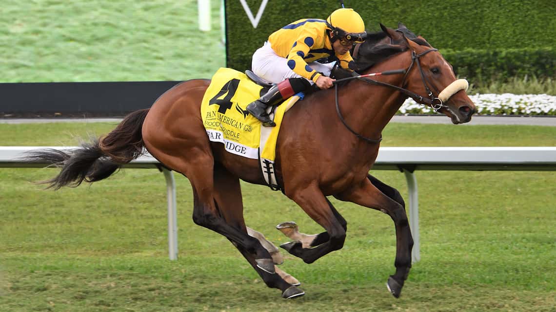 Far Bridge Seeks Repeat in Pan American (G3)
