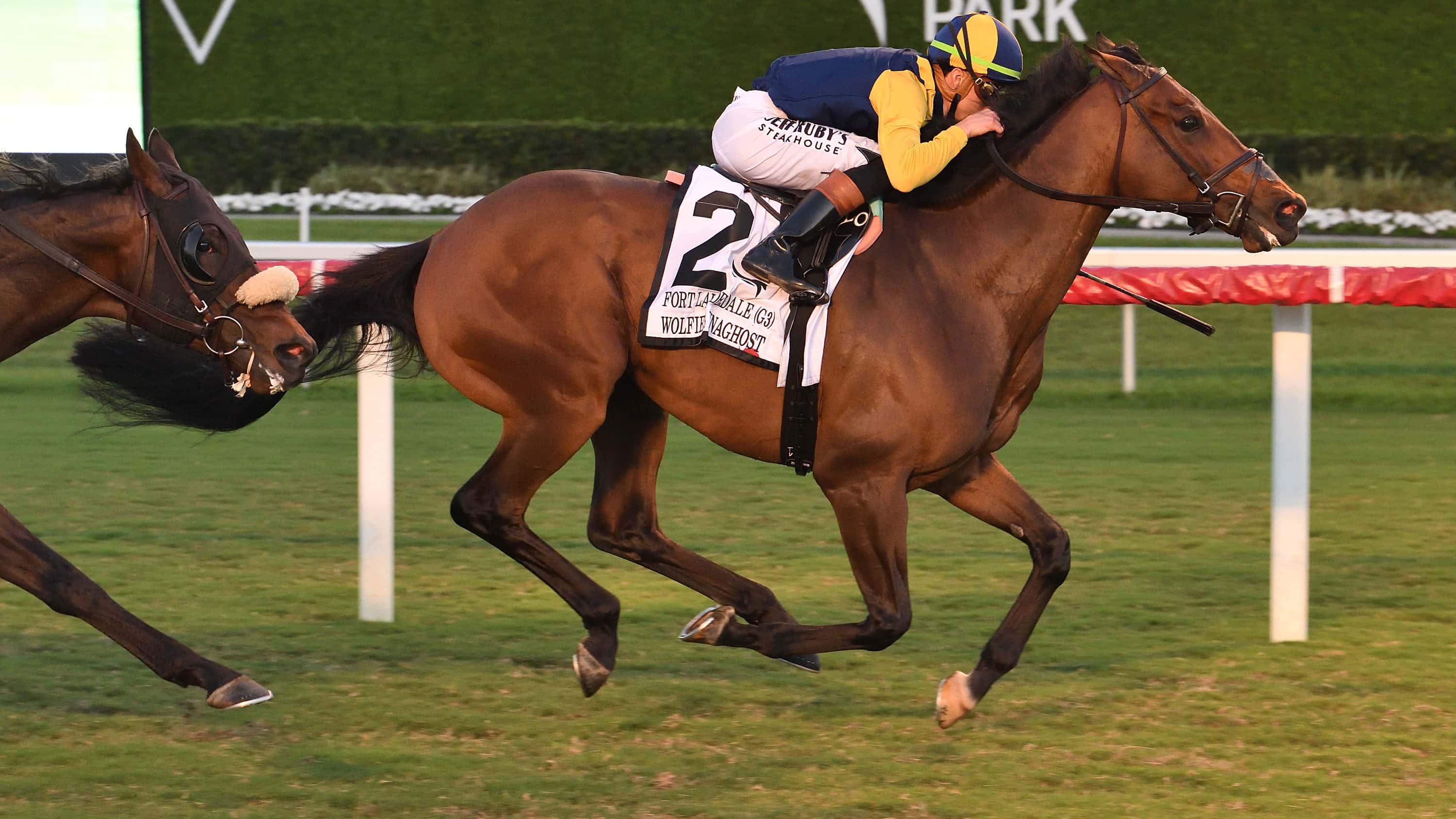 Wolfie’s Dynaghost Set to Return in Canadian Turf (G3)