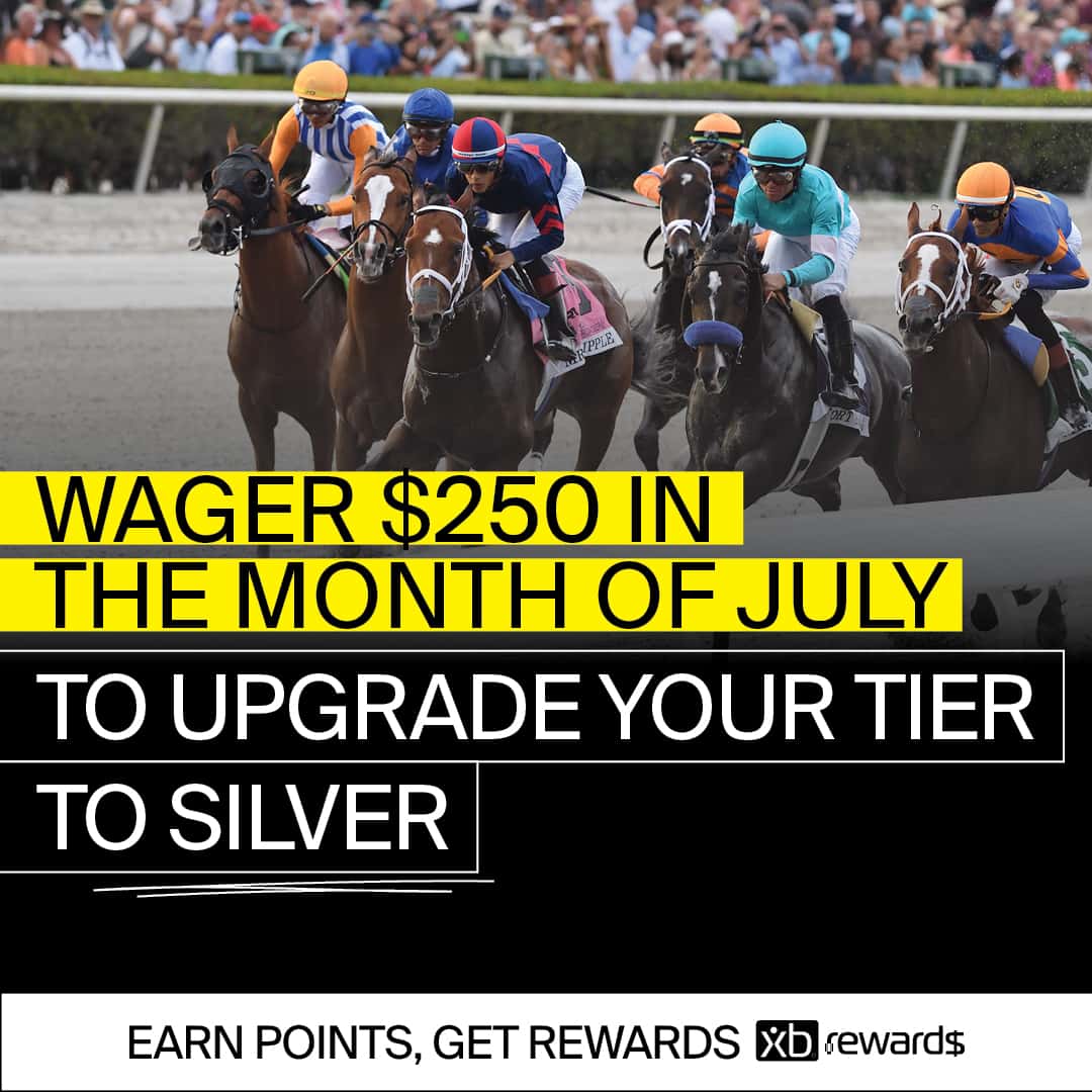 XB-1st-Upgrade-to-Silver-Email 1 (4)