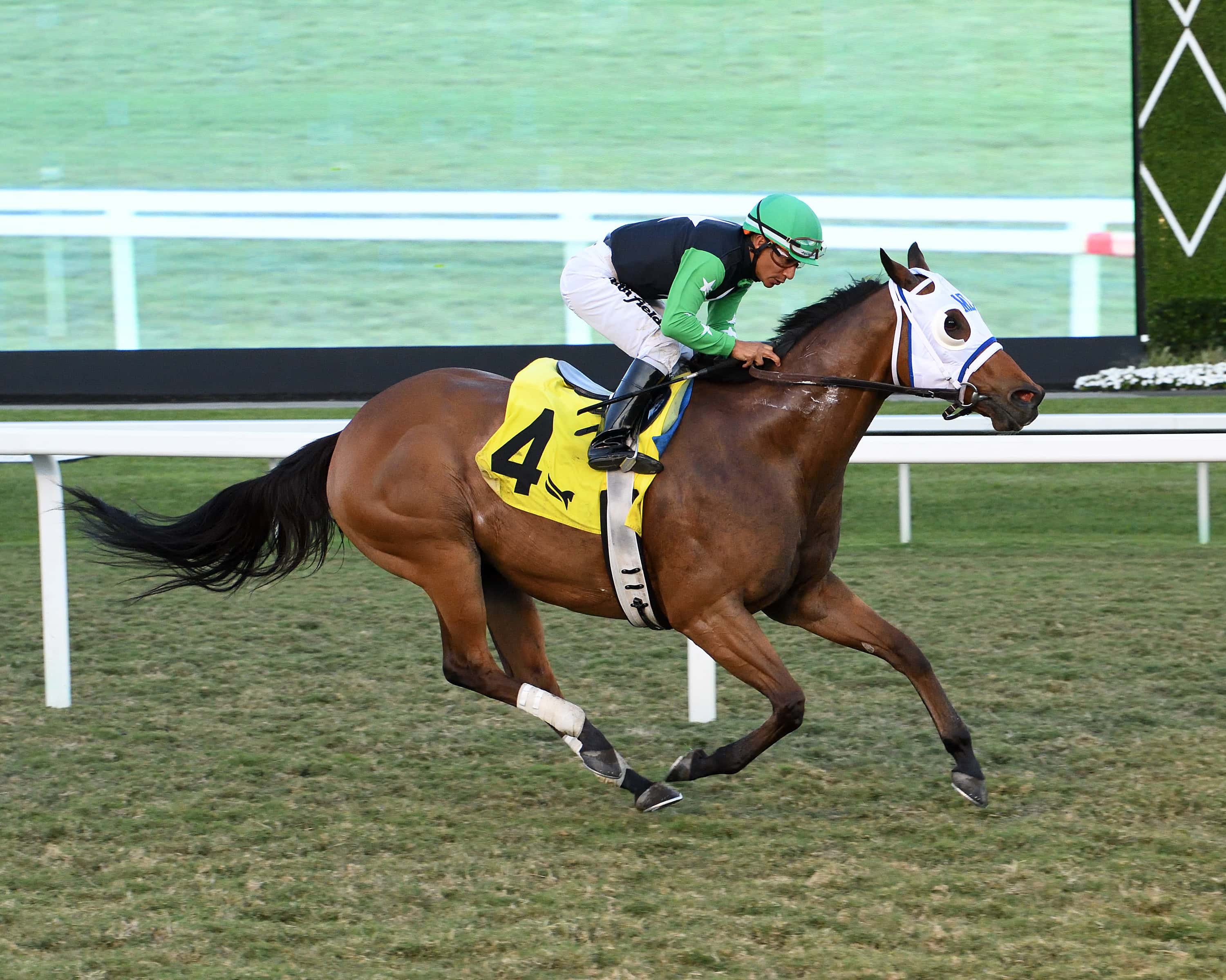 Xy Speed ‘Ready to Go Again’ for Go Cats Go Handicap
