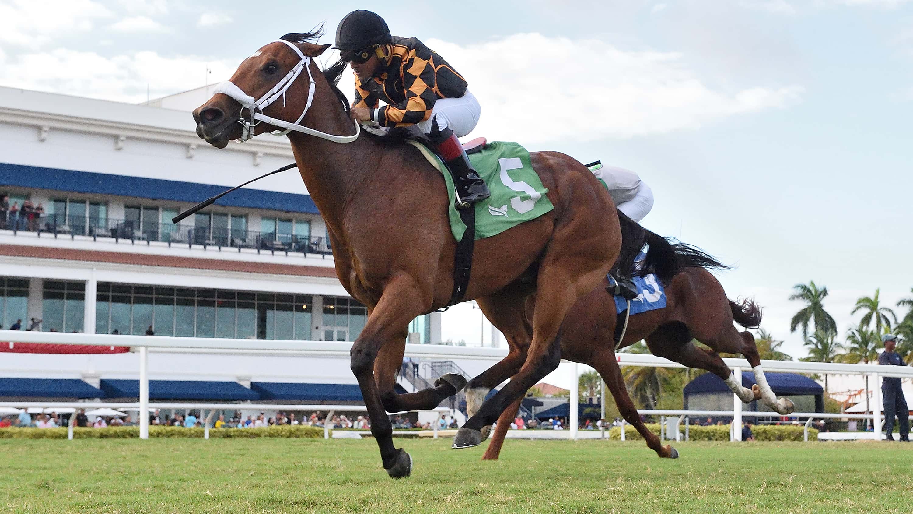 Naughty Rascal in Good Form for $165,000 Mucho Macho Man