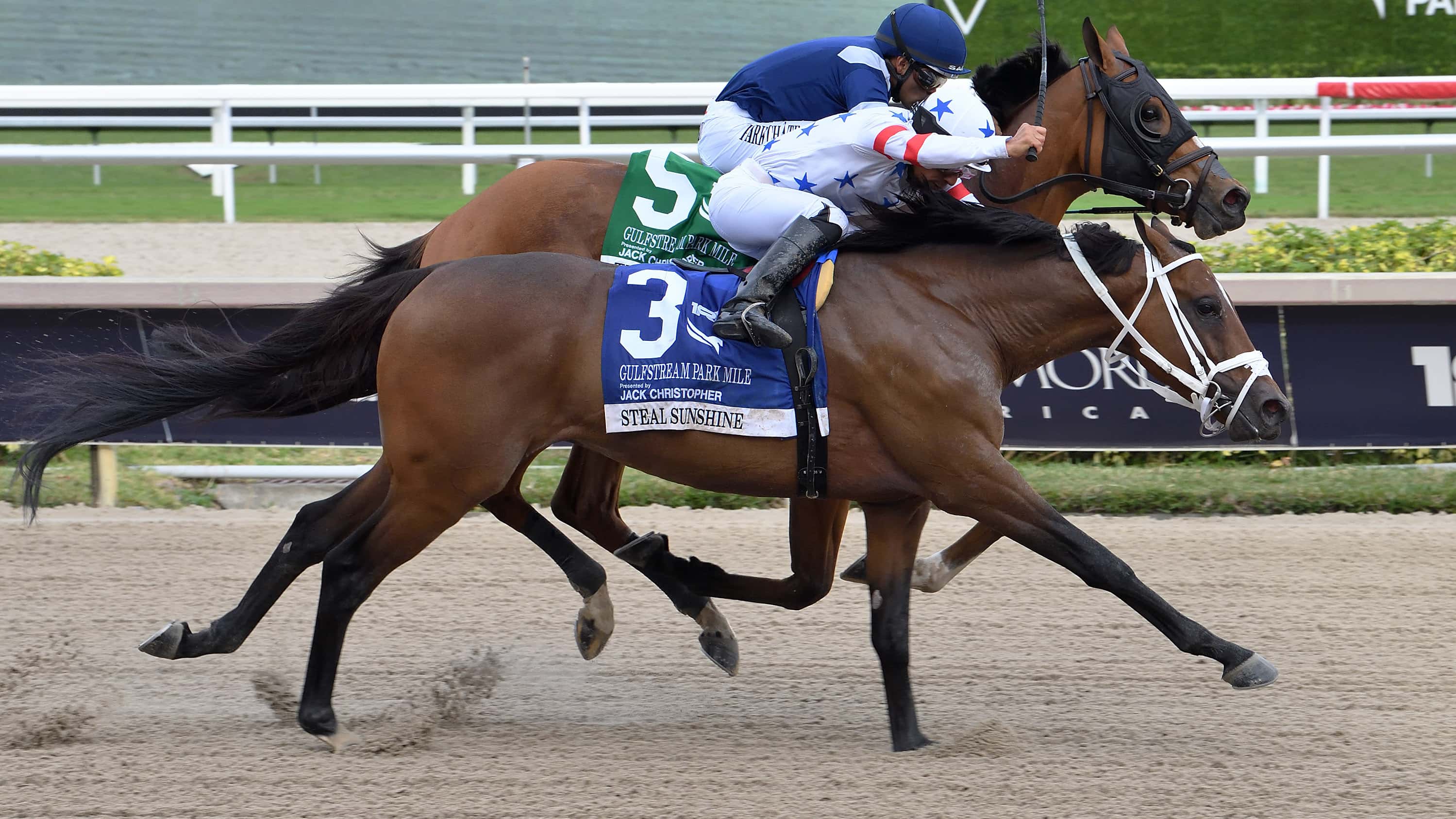 Stablemates Steal Sunshine, Back Em Up Meet in Wildcat Red