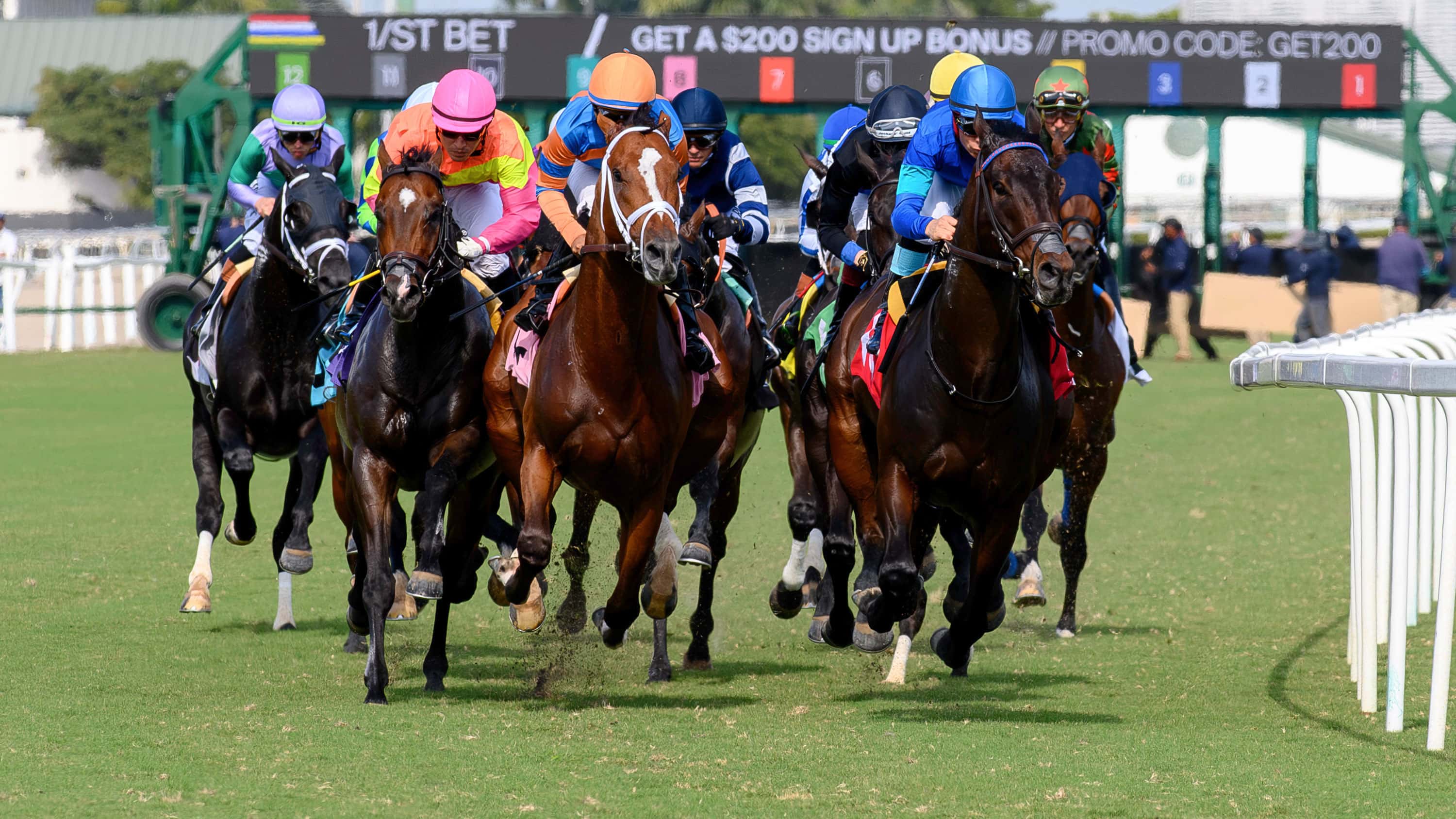 Royal Palm Meet Enters Final Weekend Saturday